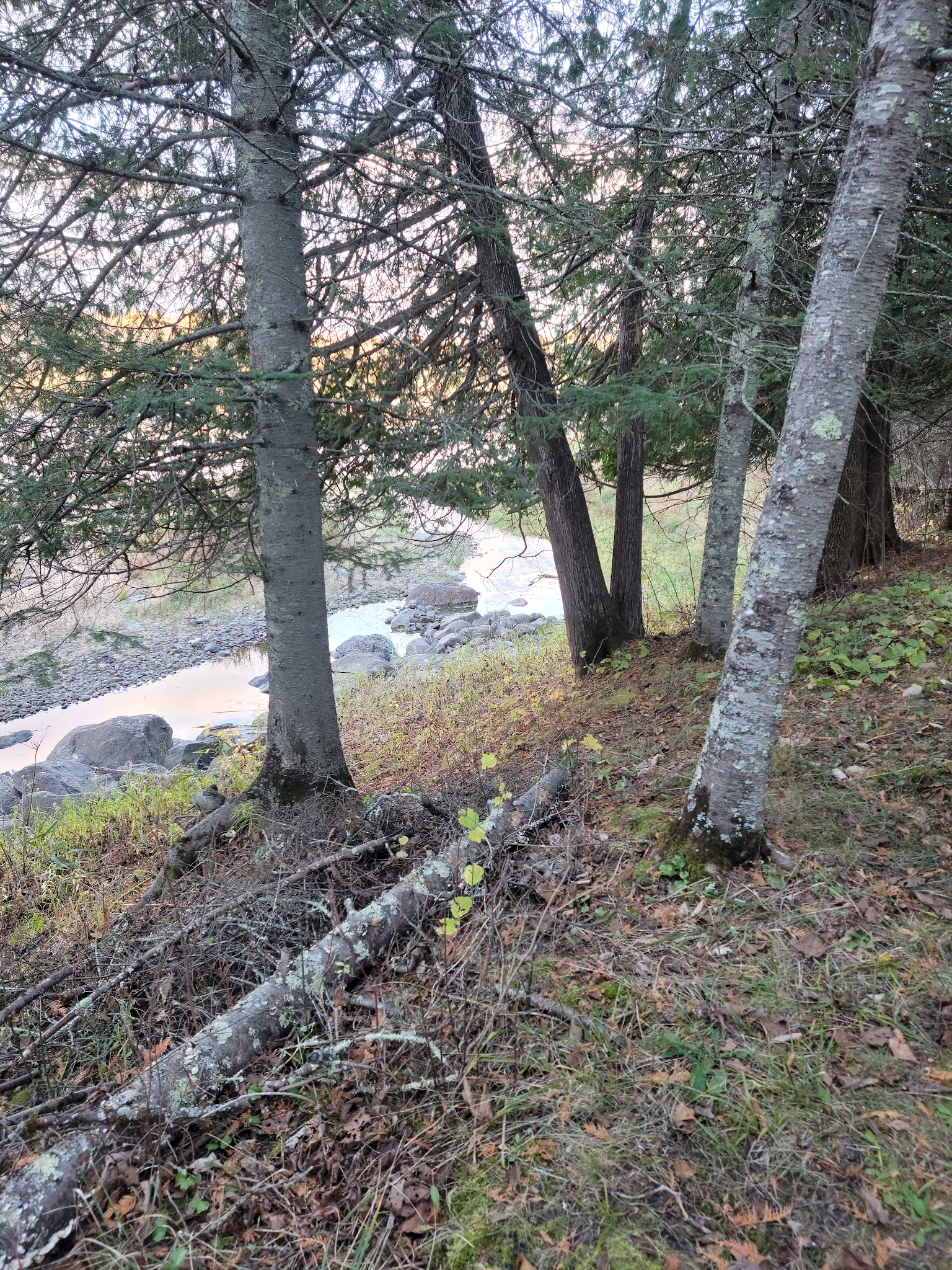 Franz Jevne Campground