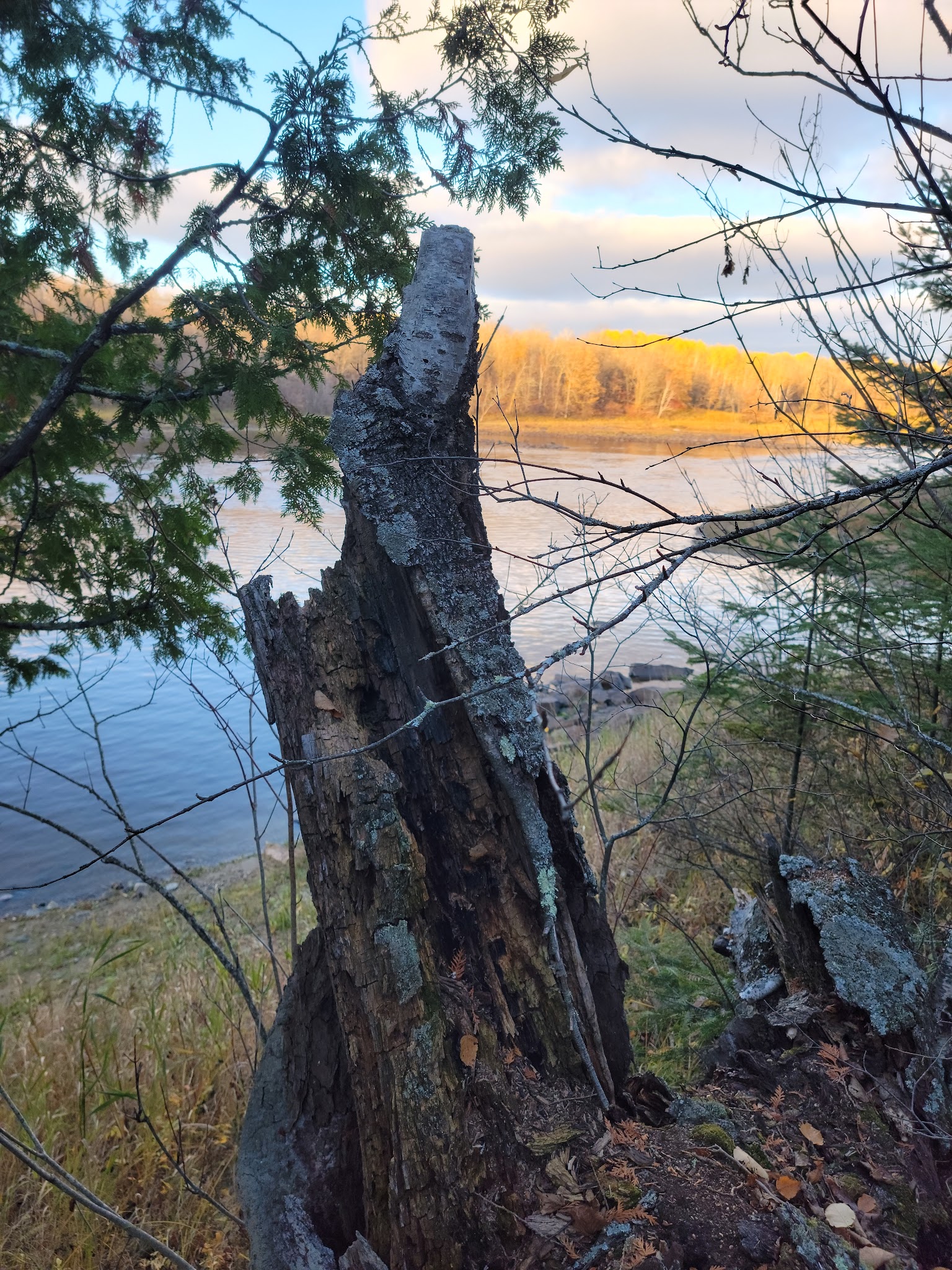 Franz Jevne Campground