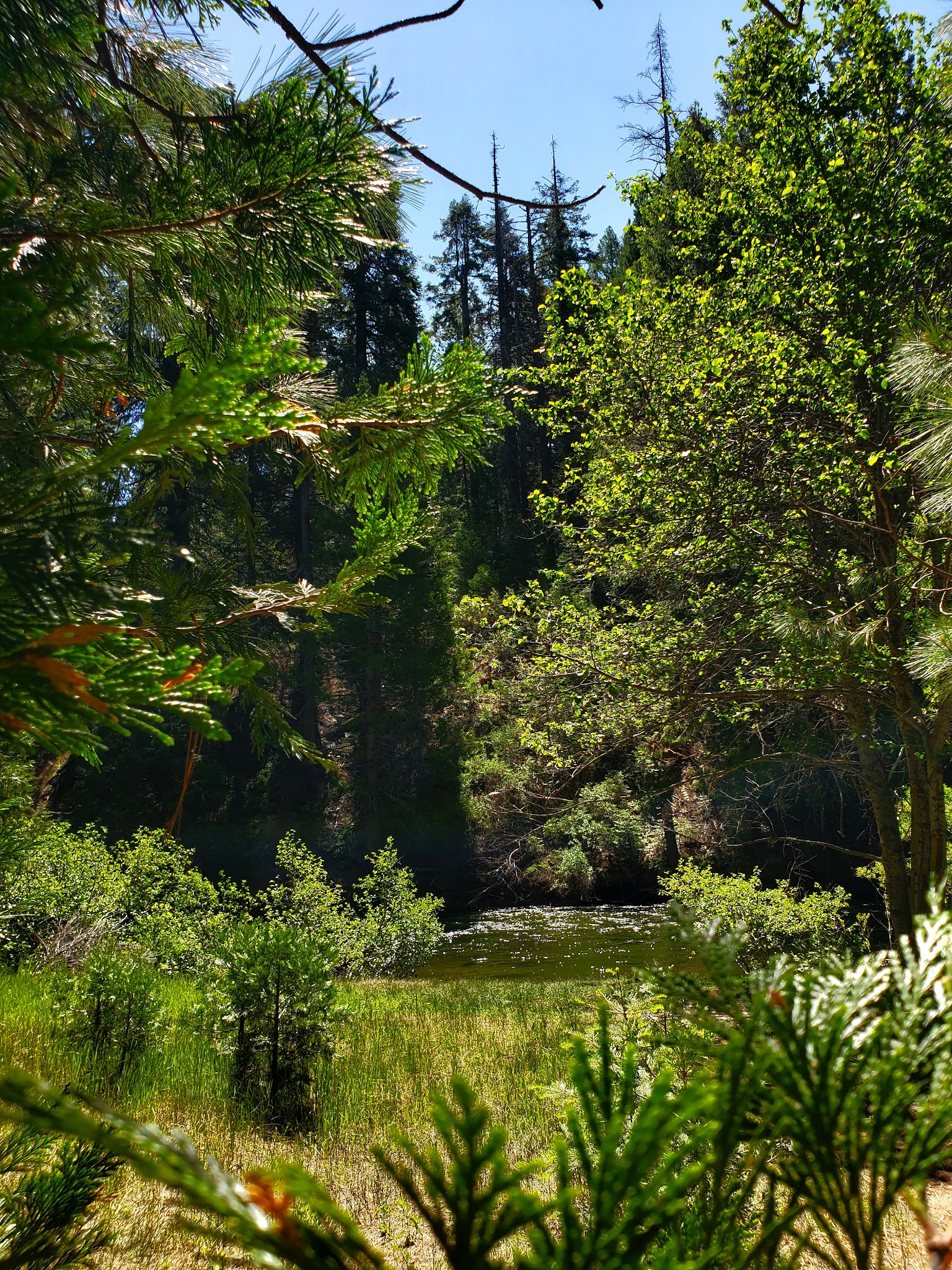 Fraser Flat Campground