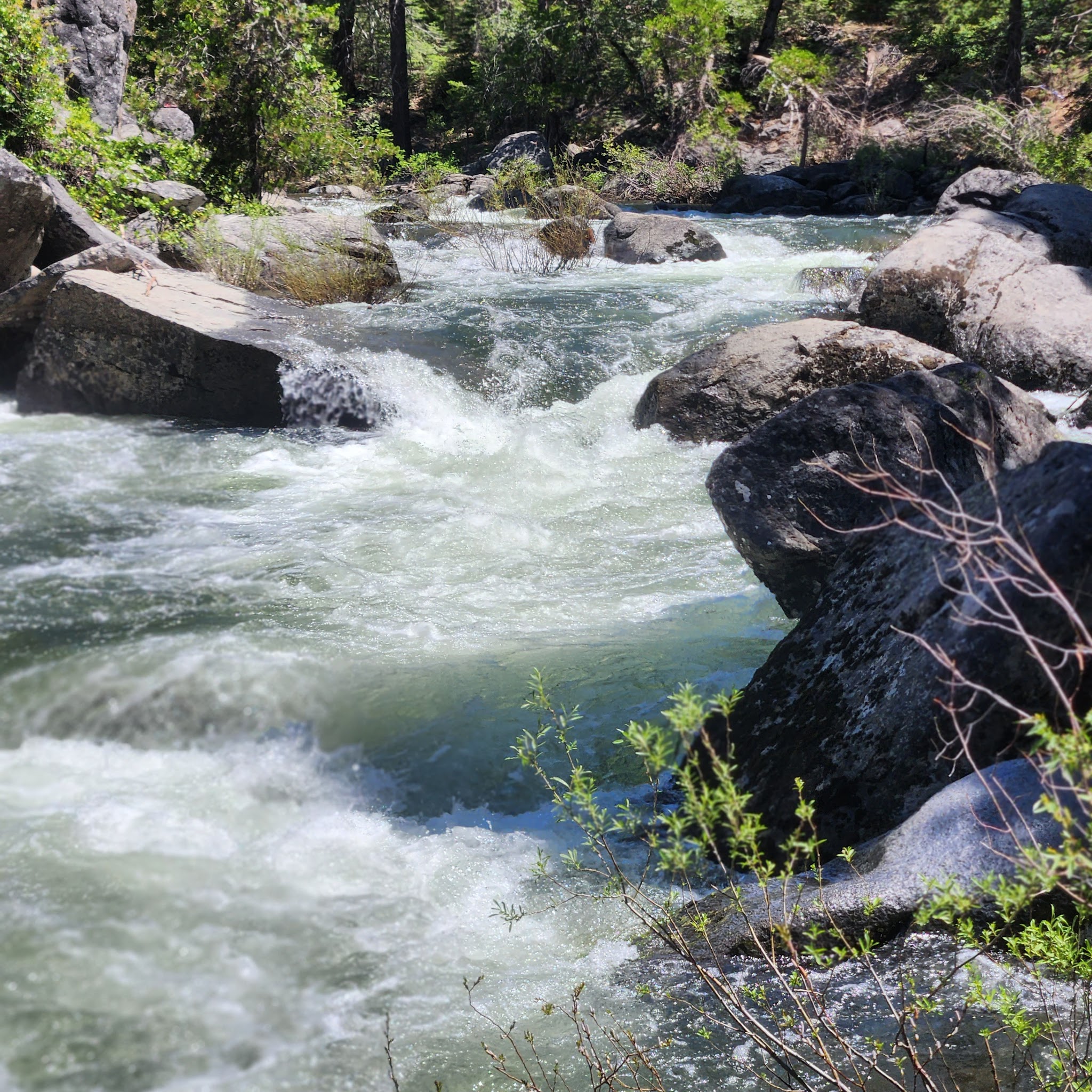 Fraser Flat Campground