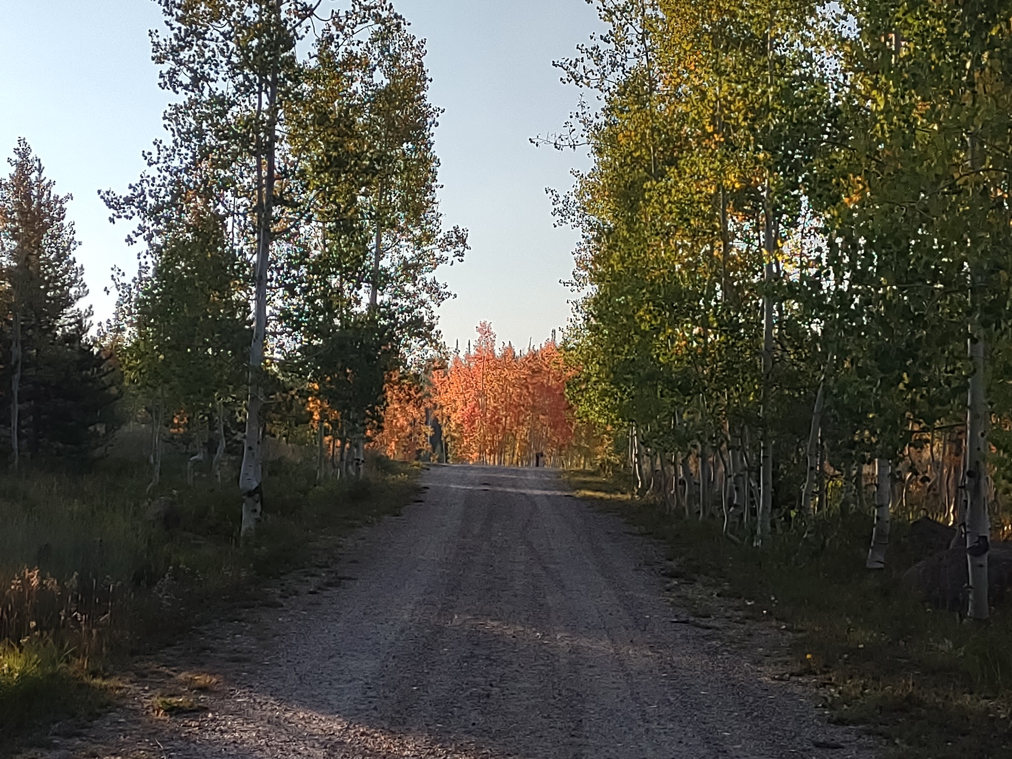 Freeman Reservoir Campground