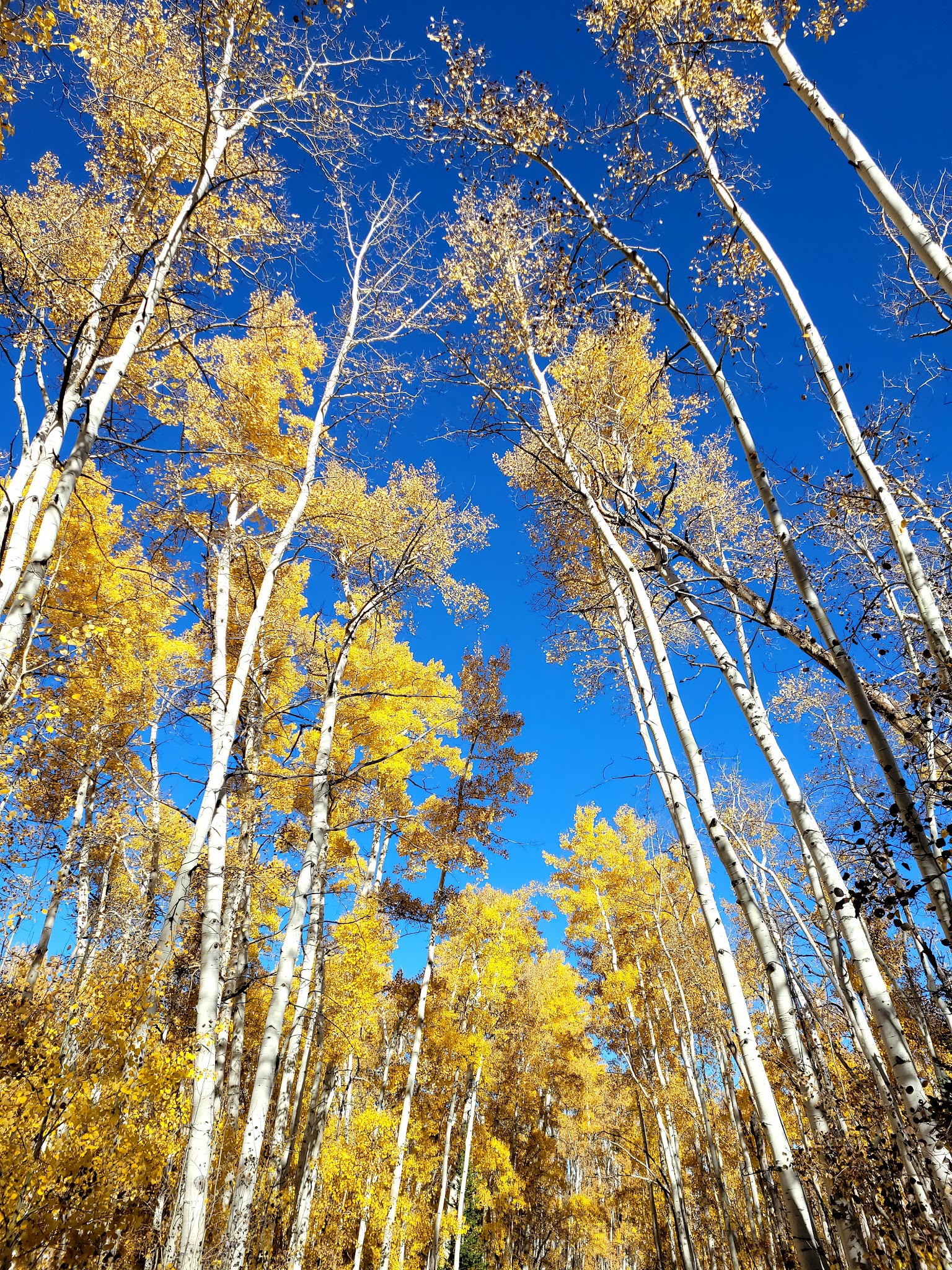 Freeman Reservoir Campground