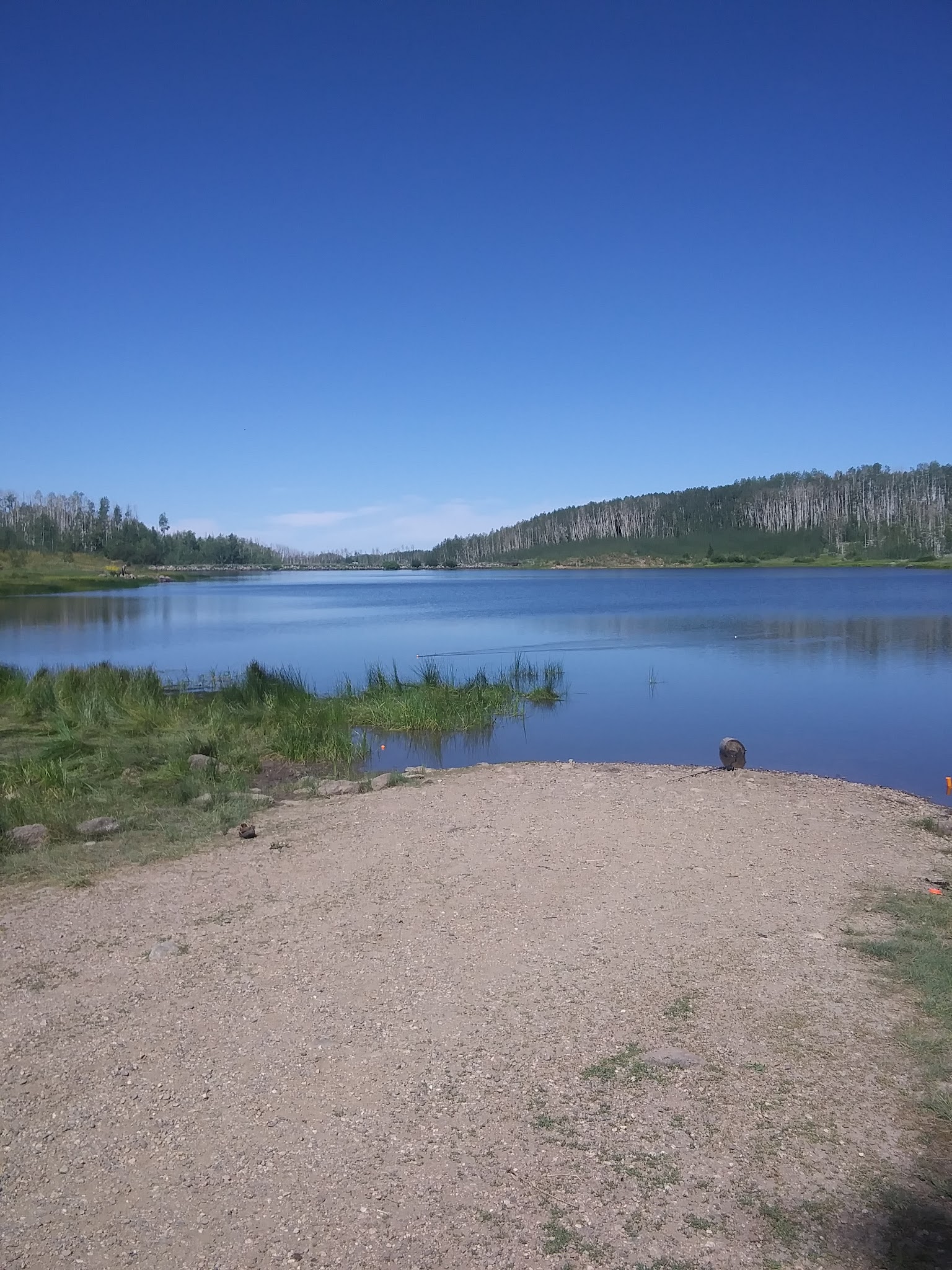 Freeman Reservoir Campground