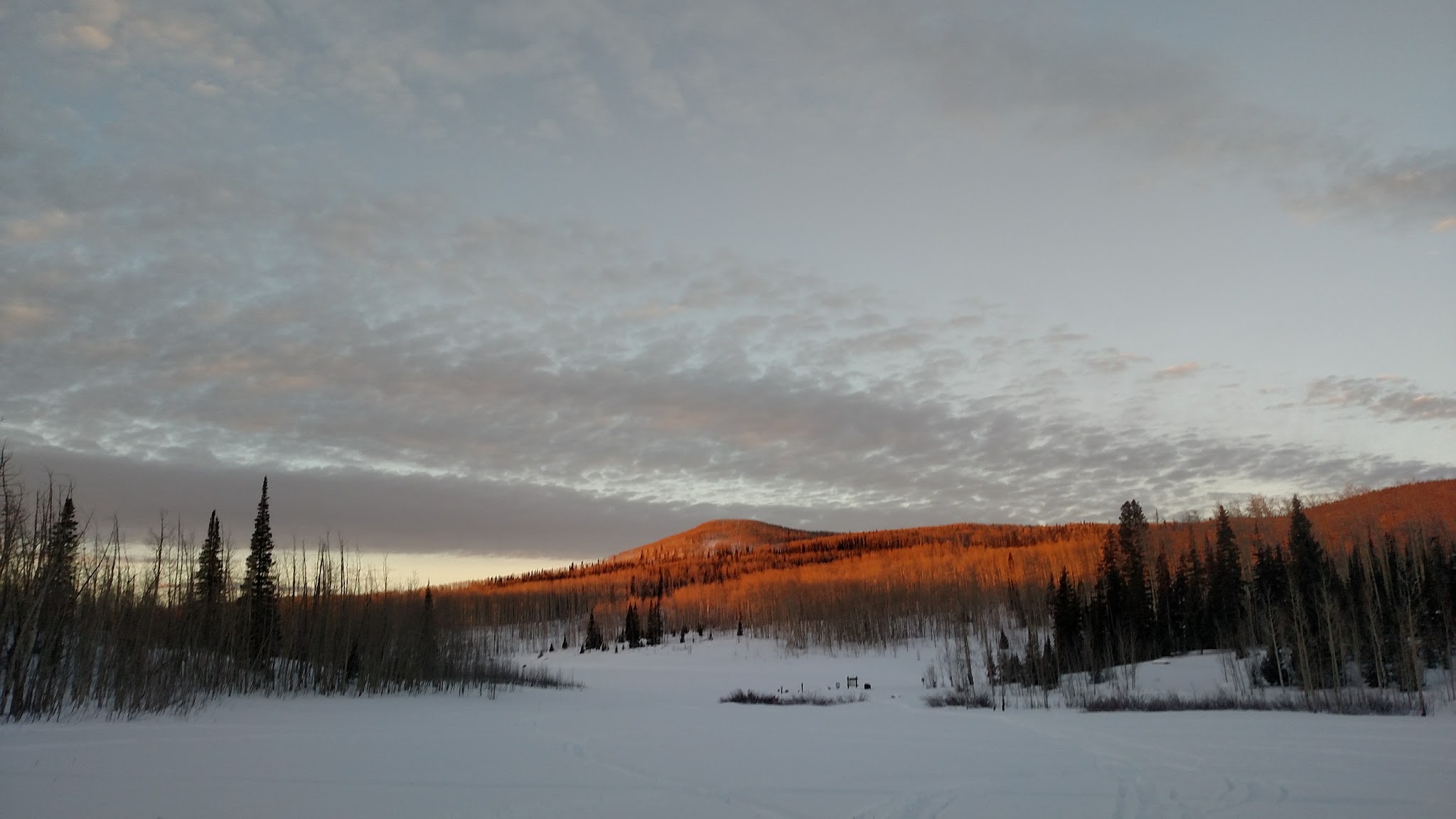 Freeman Reservoir Campground