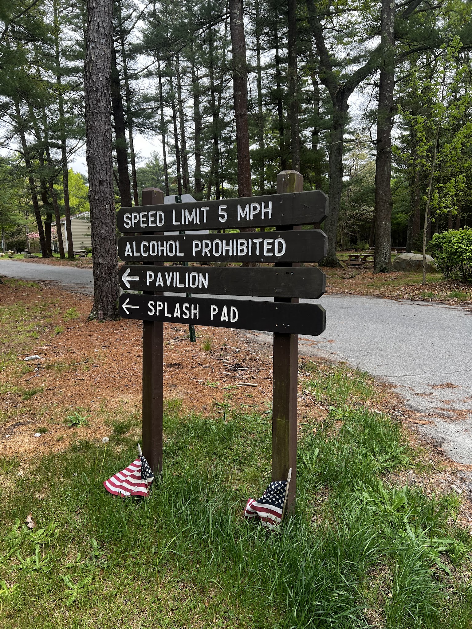 Freetown State Forest