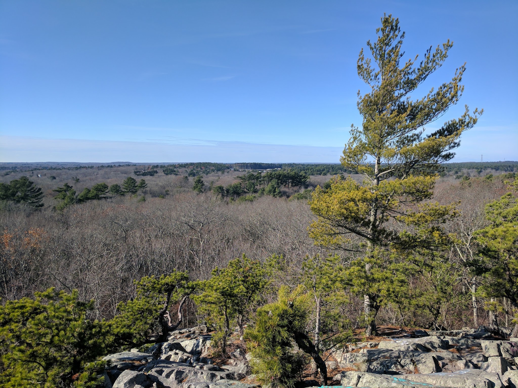 Freetown State Forest