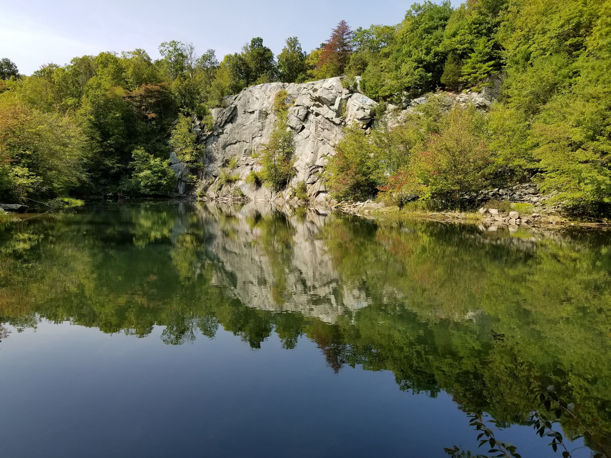 Freetown State Forest