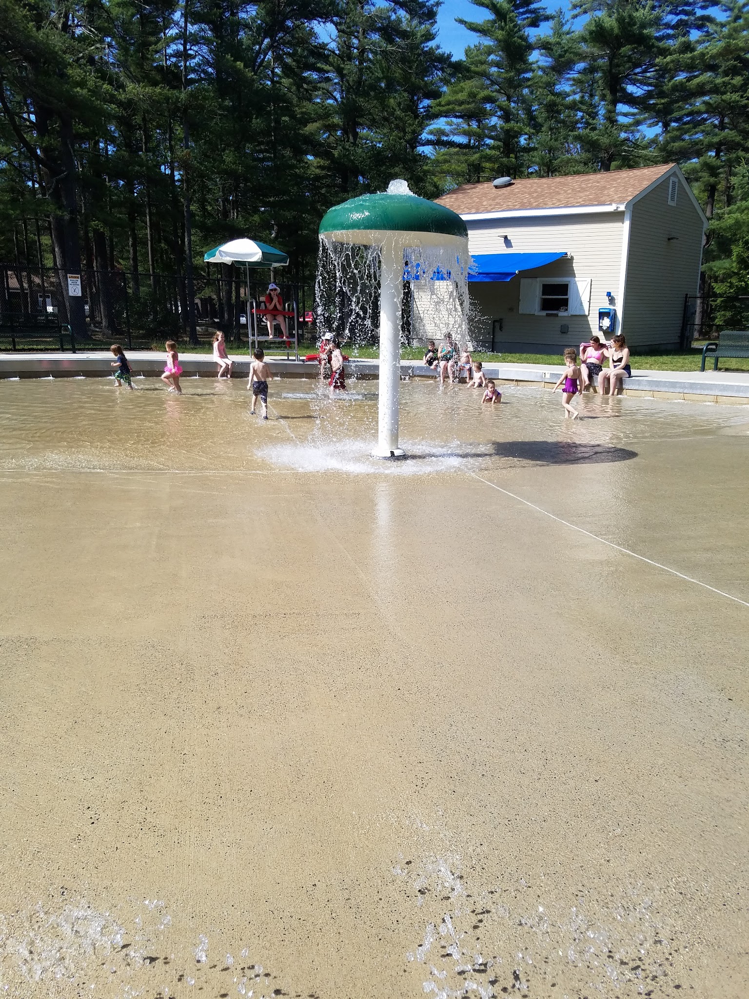 Freetown State Forest