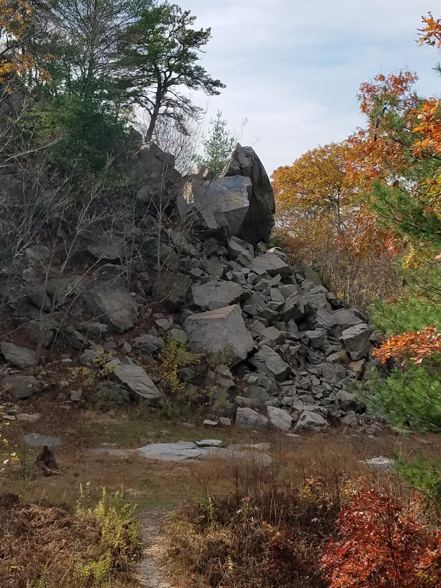 Freetown State Forest