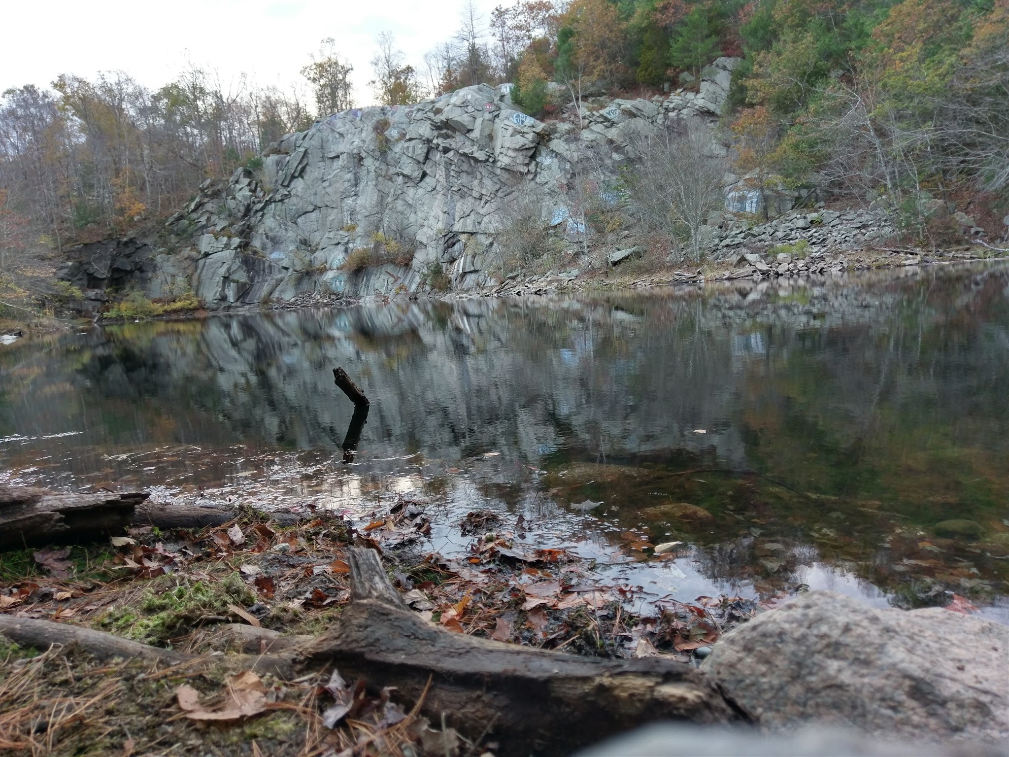 Freetown State Forest