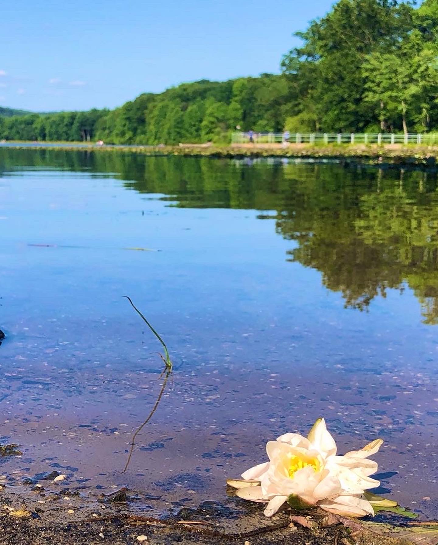 French Creek State Park