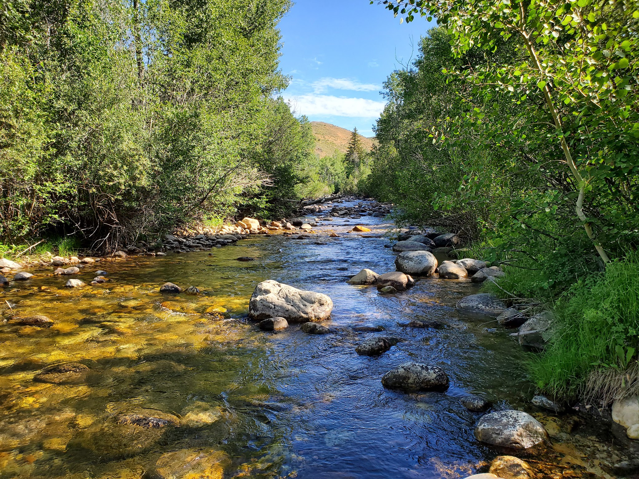 French Creek Campground (Wy)