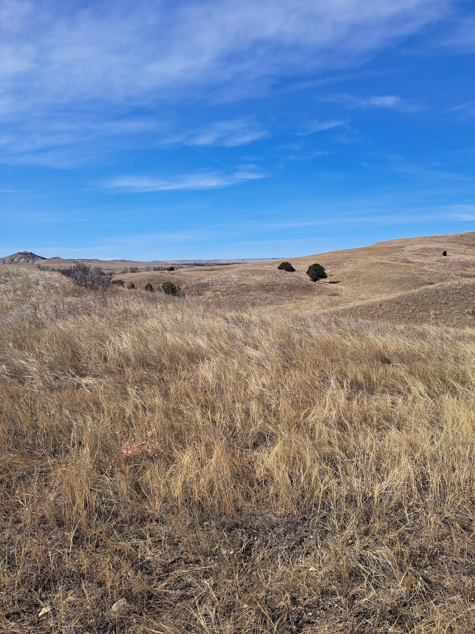 French Creek Camping Area