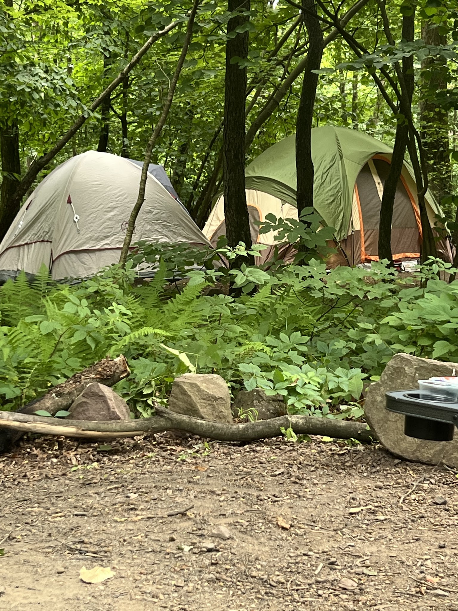 French Creek State Park