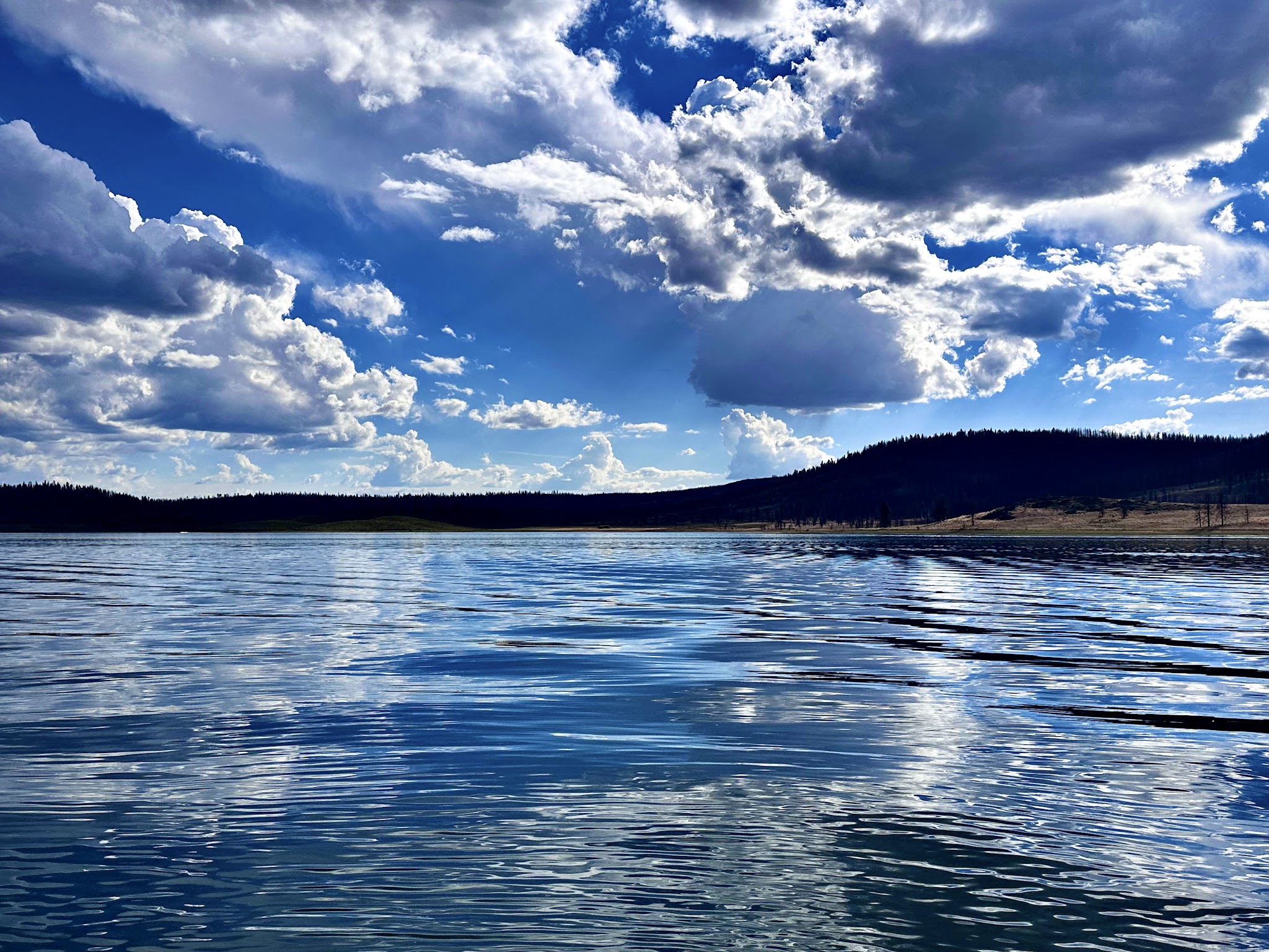 Frenchman Dump Station