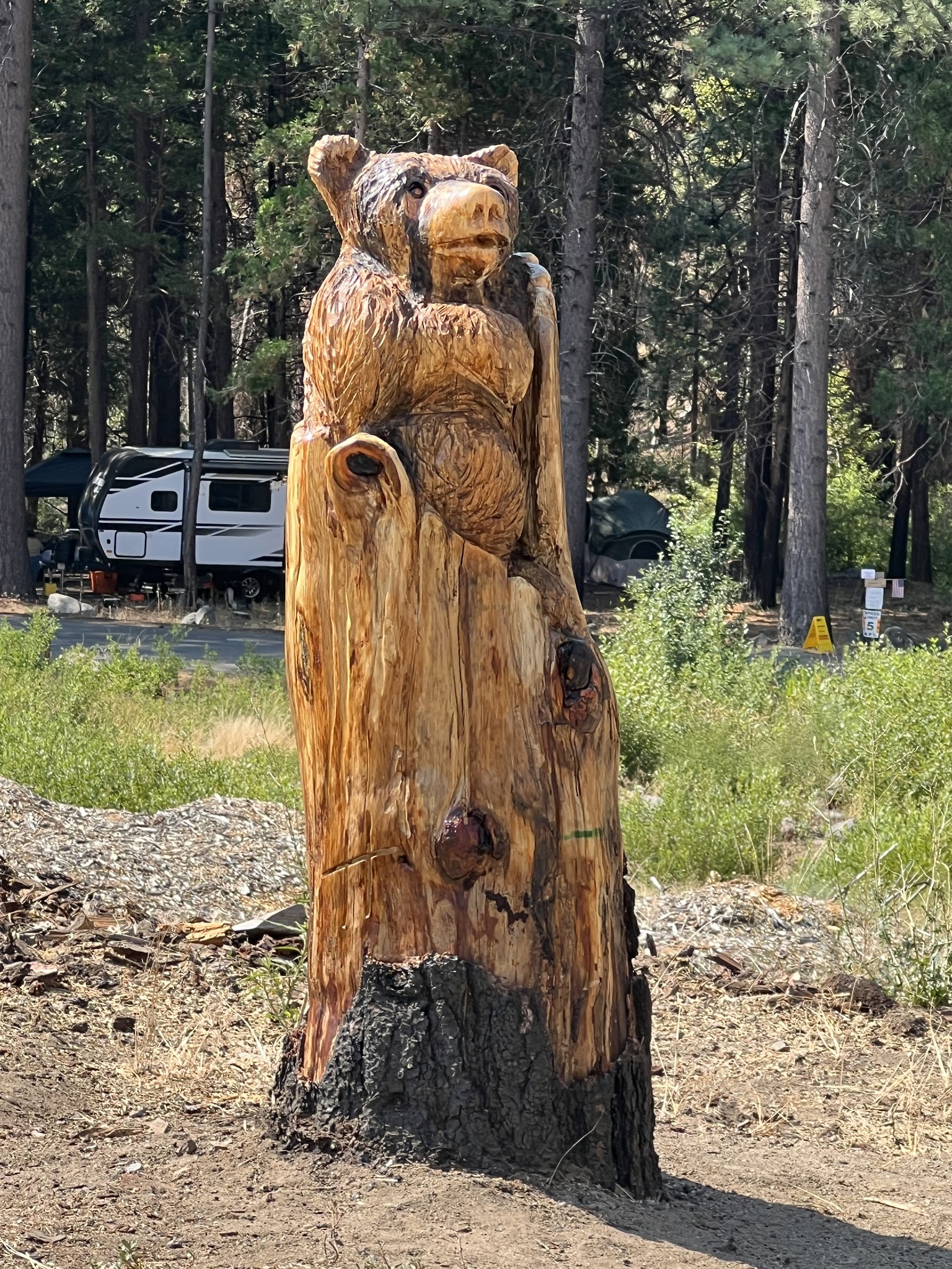 Frenchman Dump Station