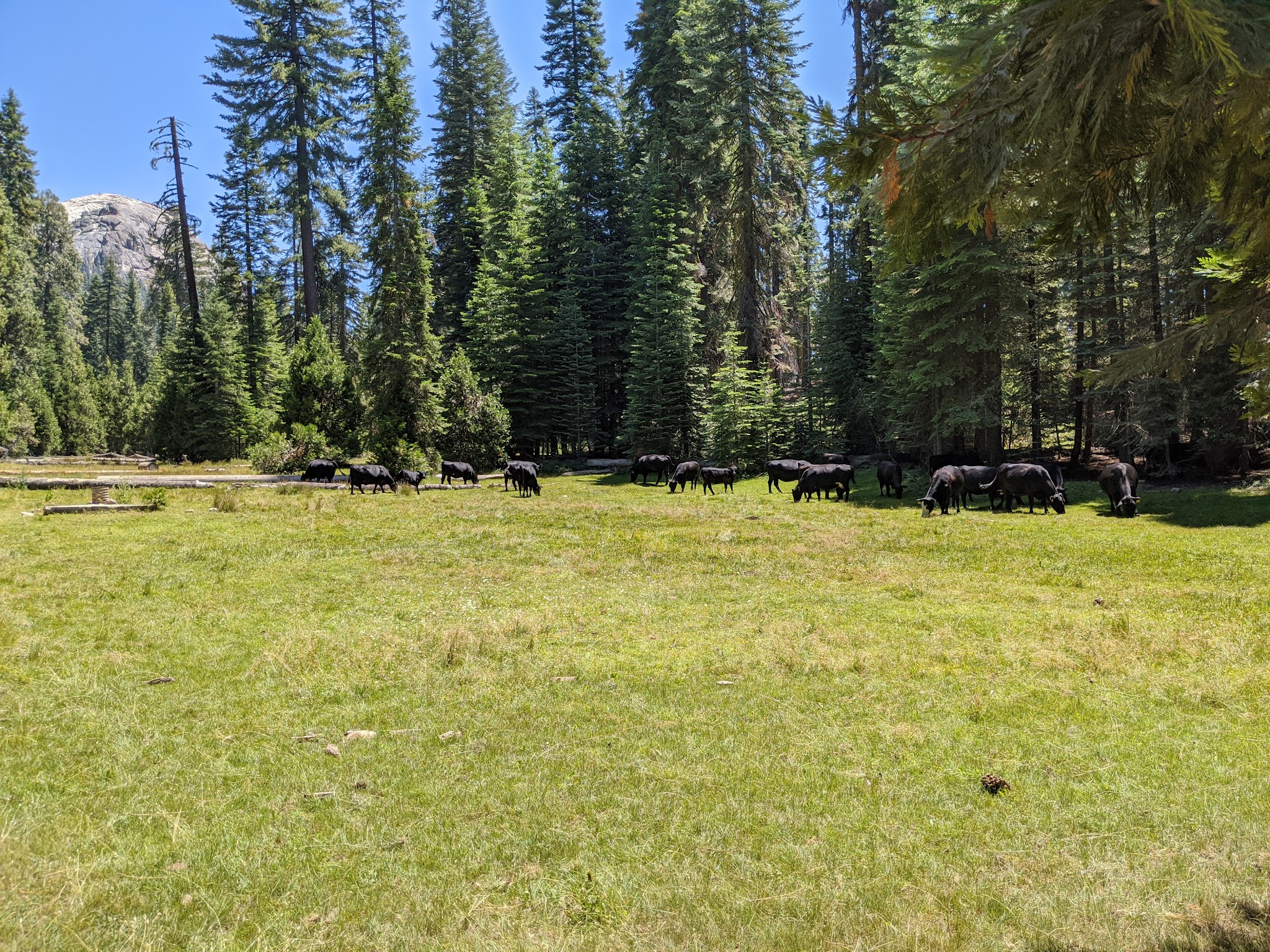 Fresno Dome Campground