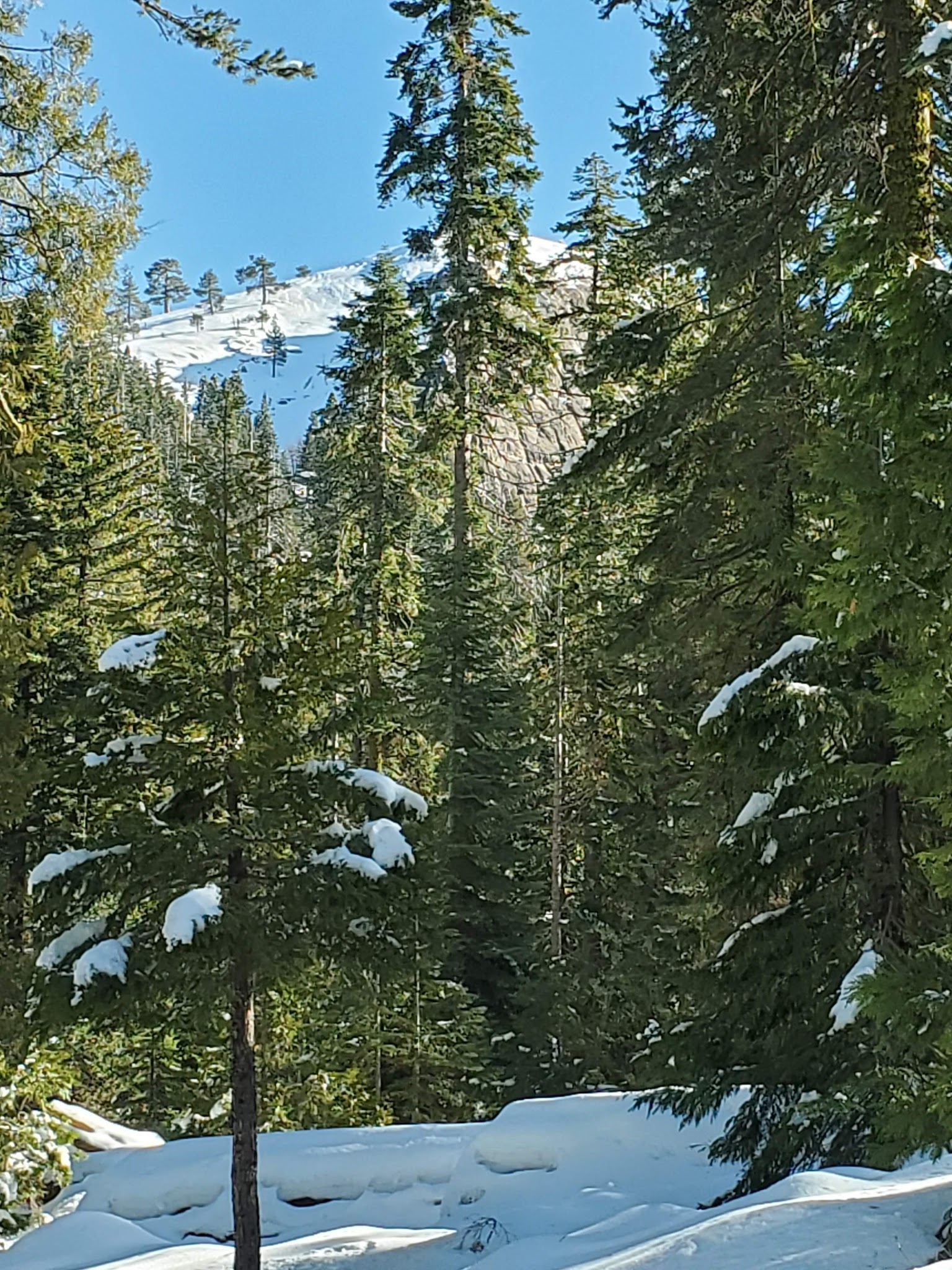 Fresno Dome Campground