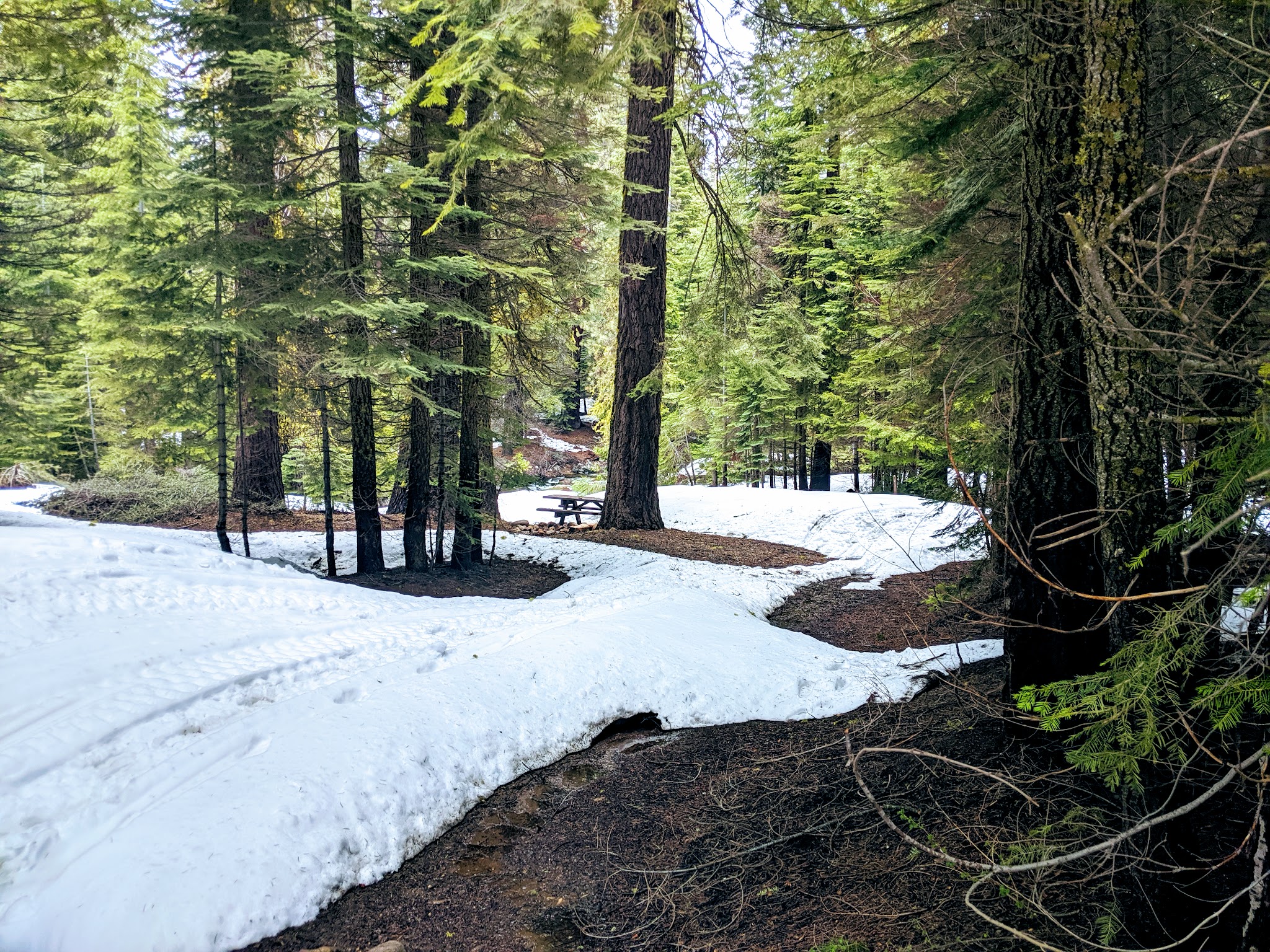 Fresno Dome Campground