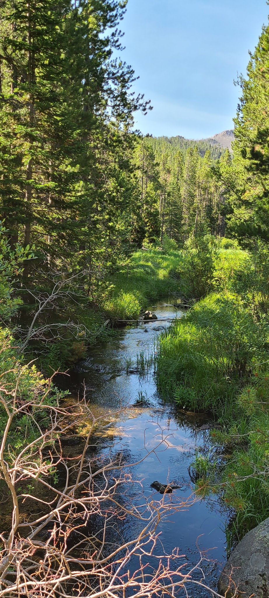Friend Park Campground