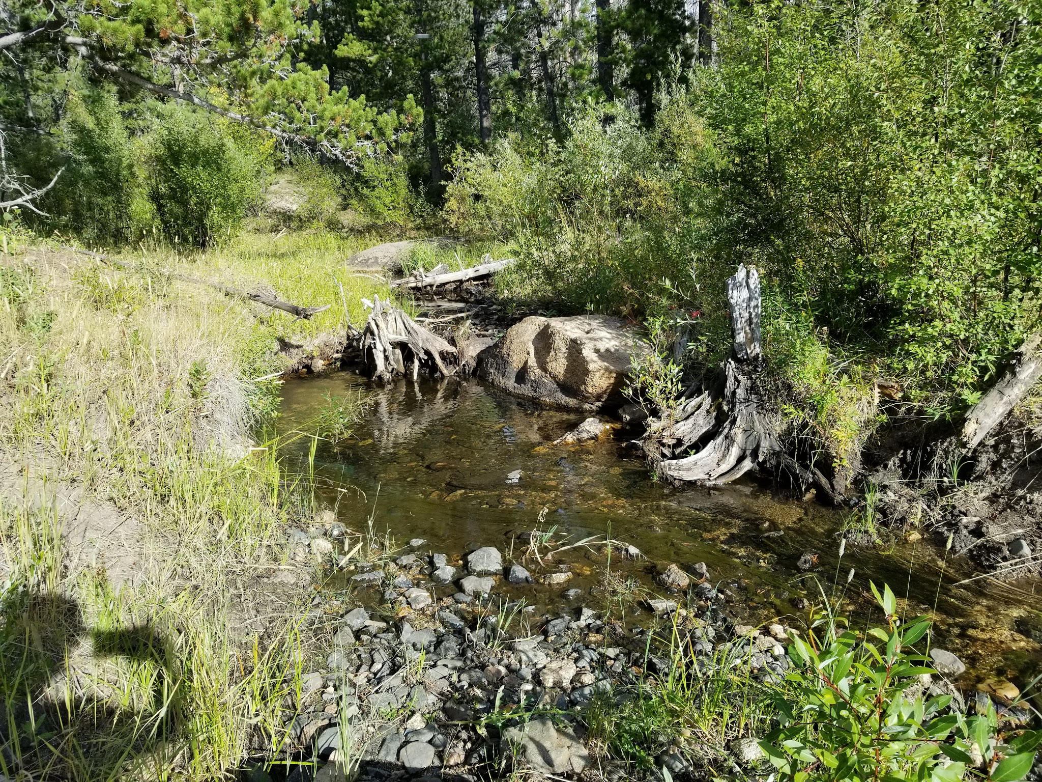 Friend Park Campground