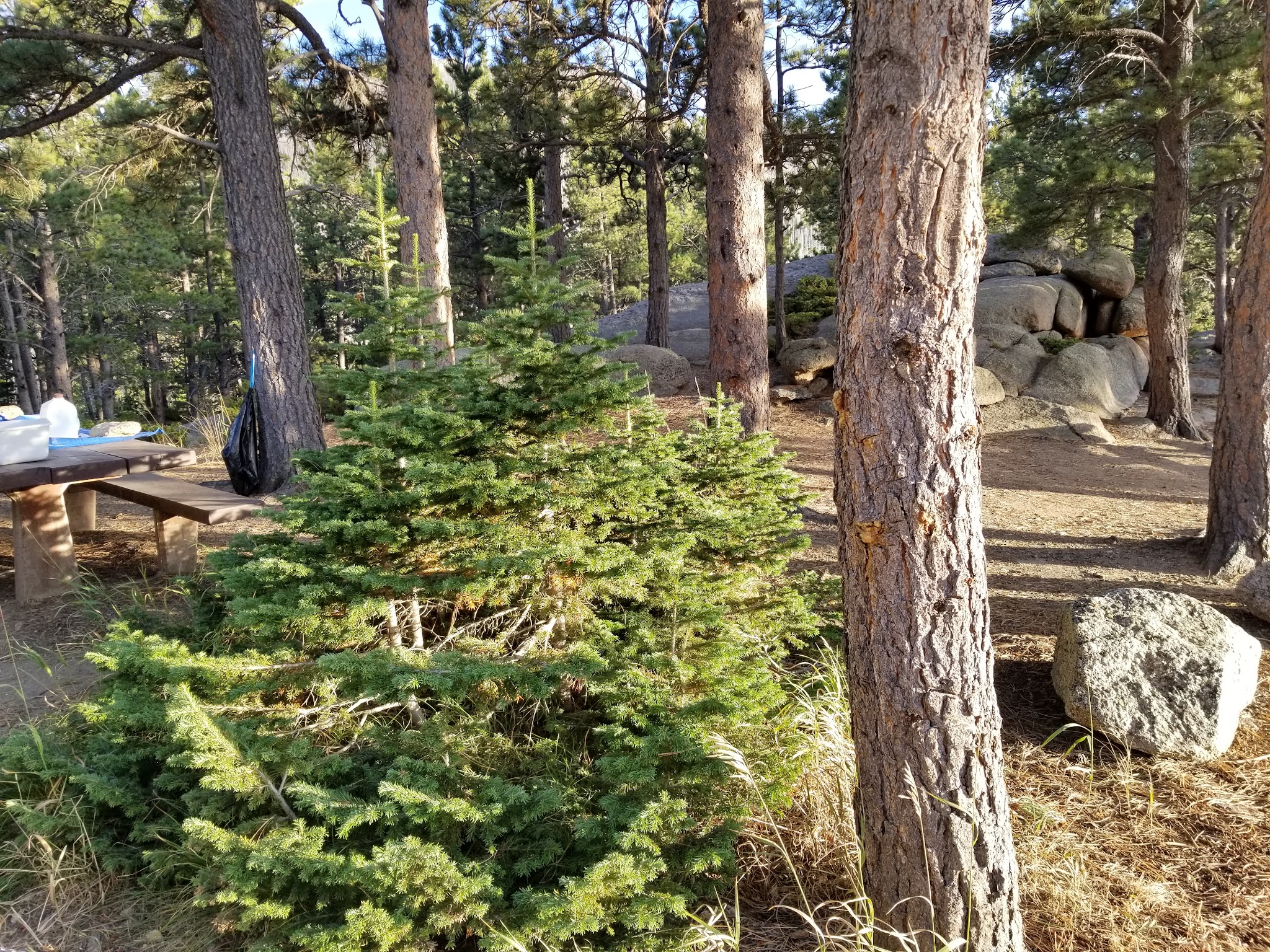 Friend Park Campground