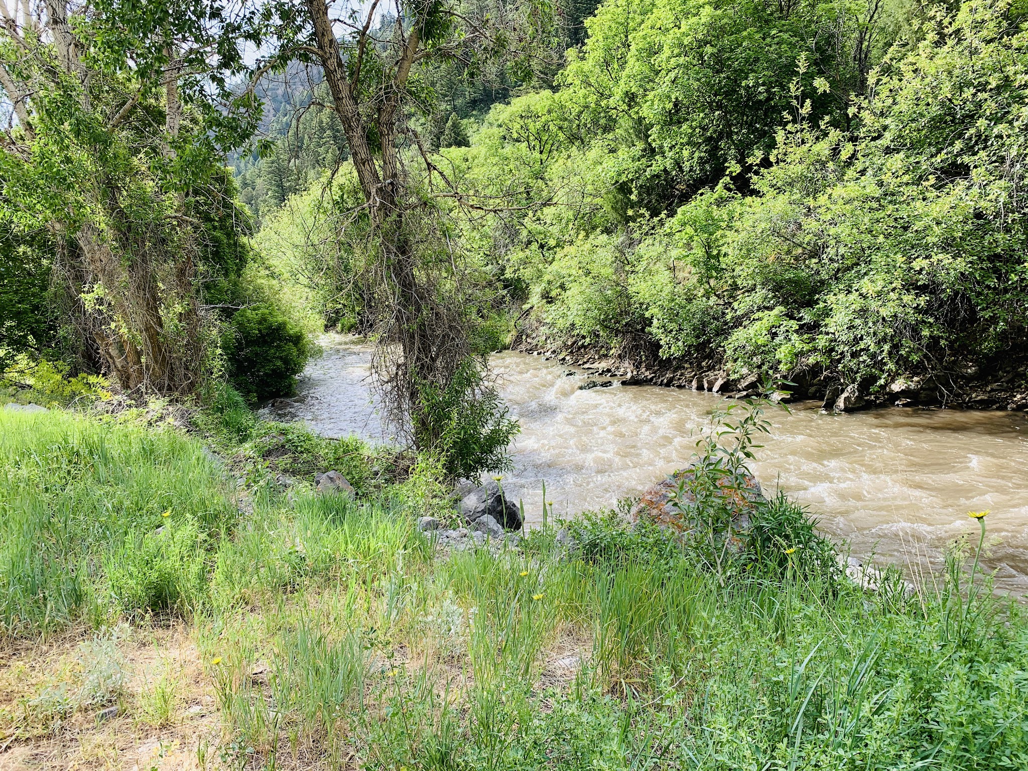 Friendship Campground