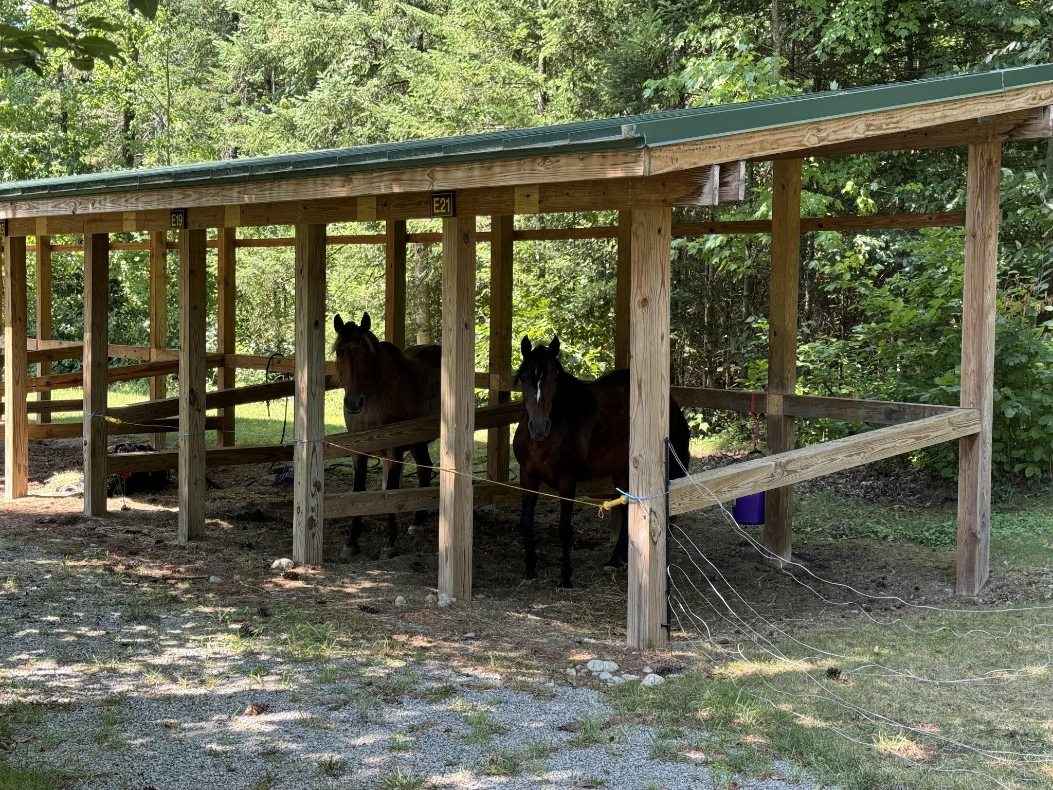 Frontier Town Campground