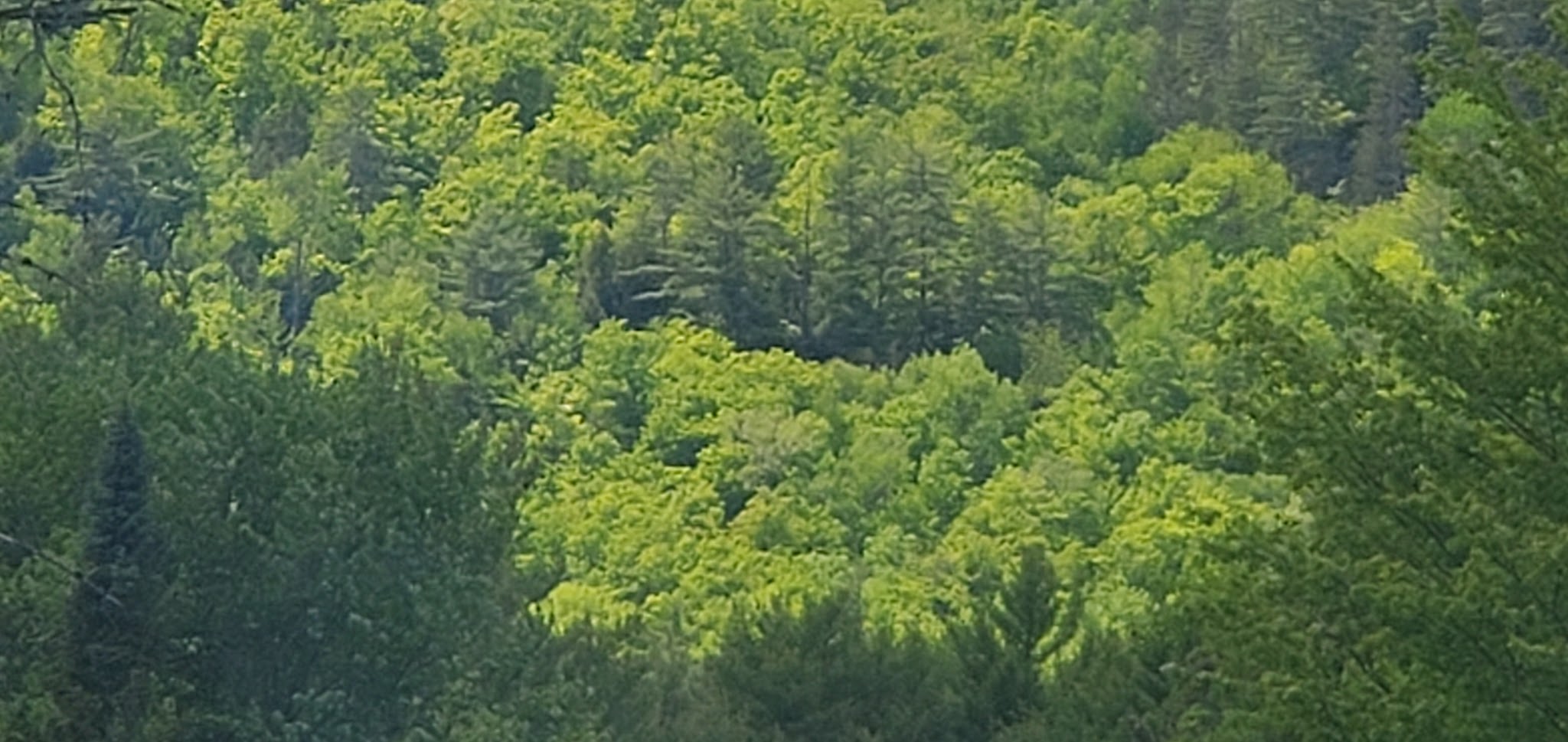 Frontier Town Campground