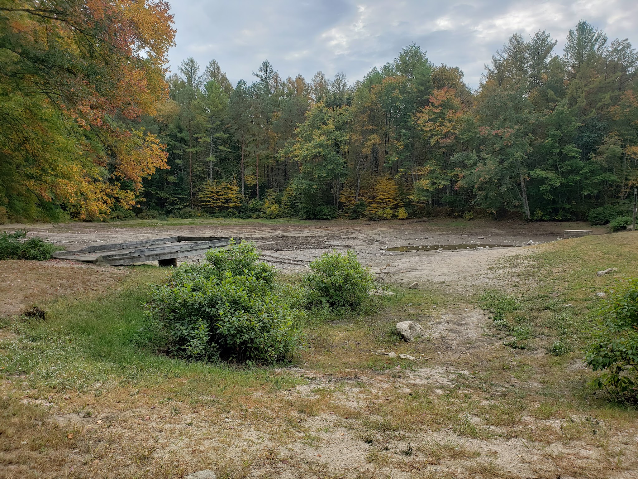 Frosty Hollow Shelter Camping Area