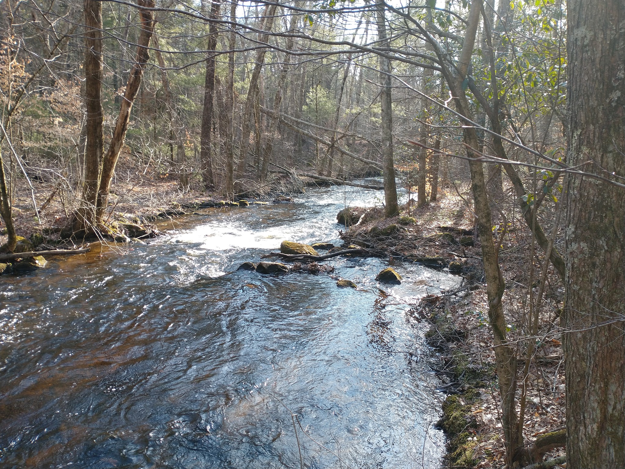 Frosty Hollow Shelter Camping Area