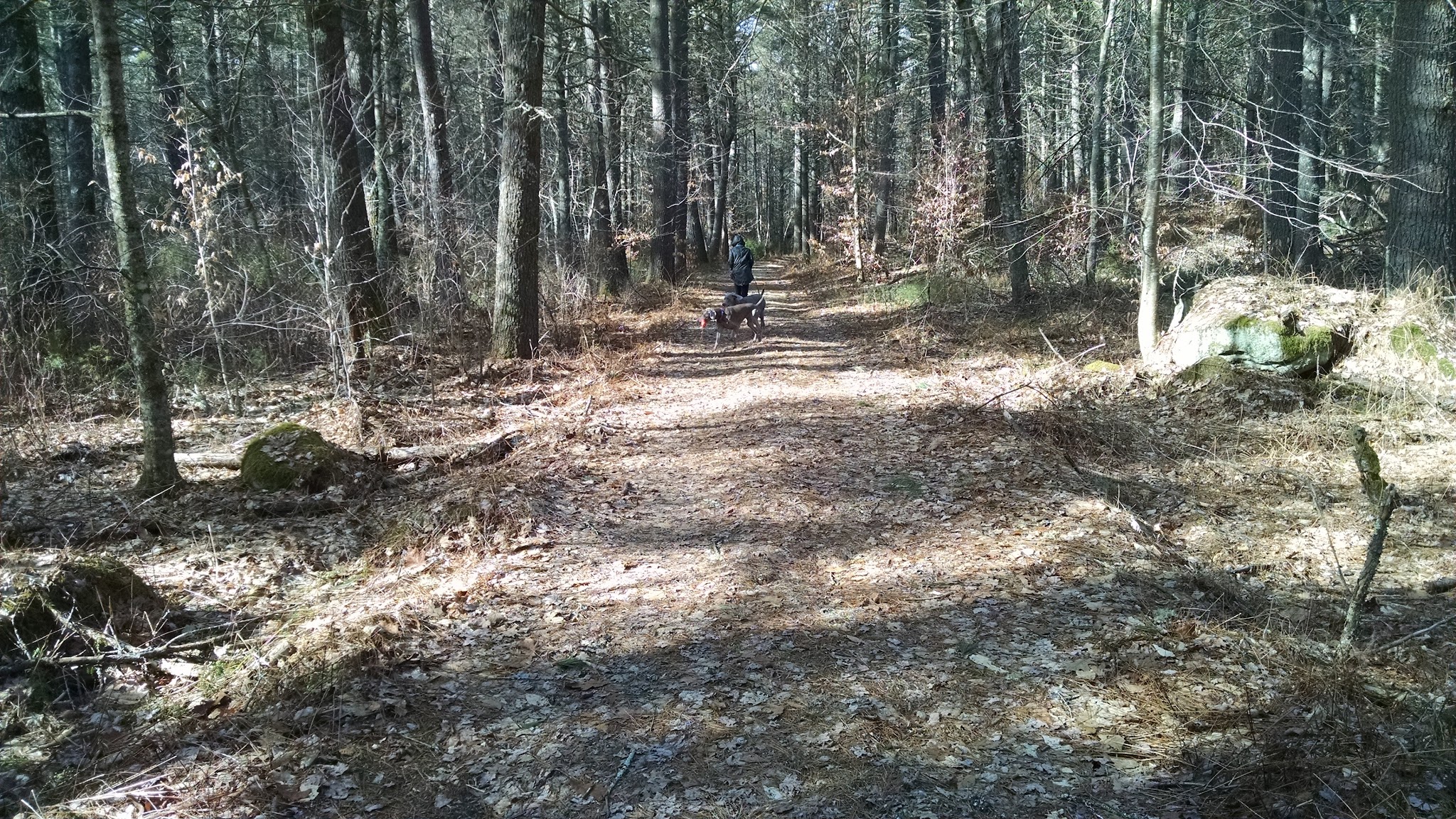Frosty Hollow Shelter Camping Area
