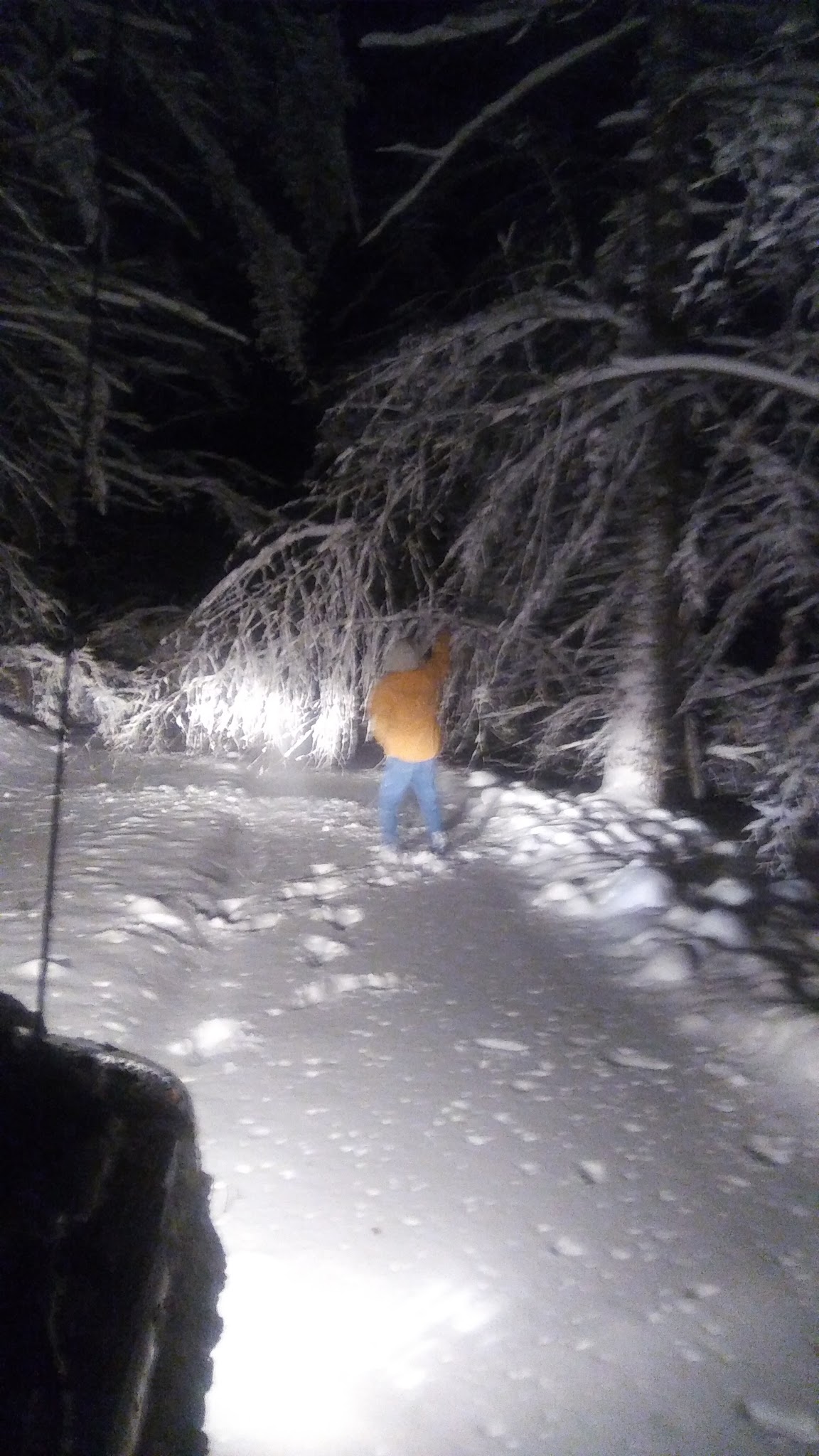 Frosty Hollow Shelter Camping Area