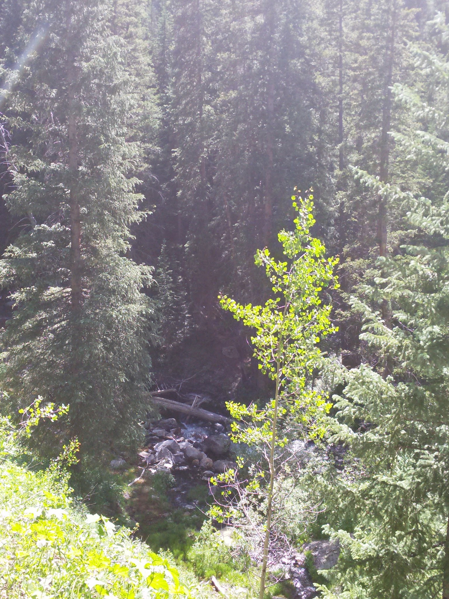 Fulford Cave Campground