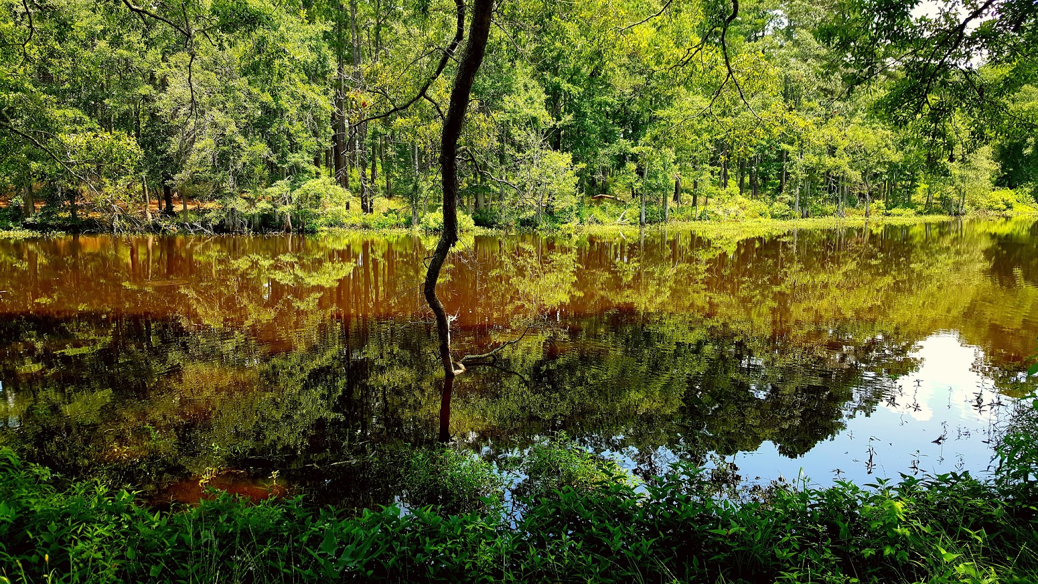 Fullerton Recreation Area