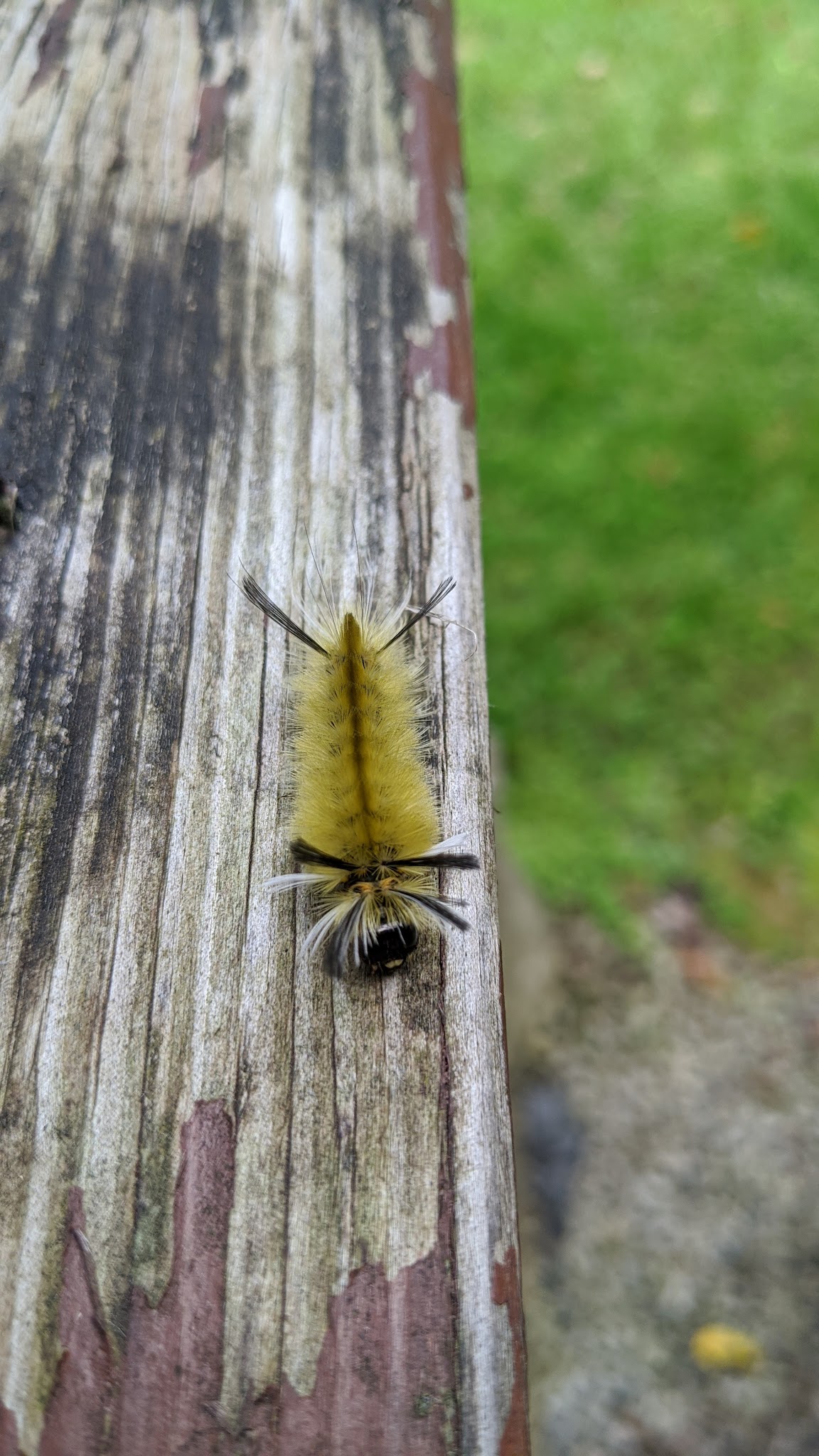 Raccoon Creek State Park