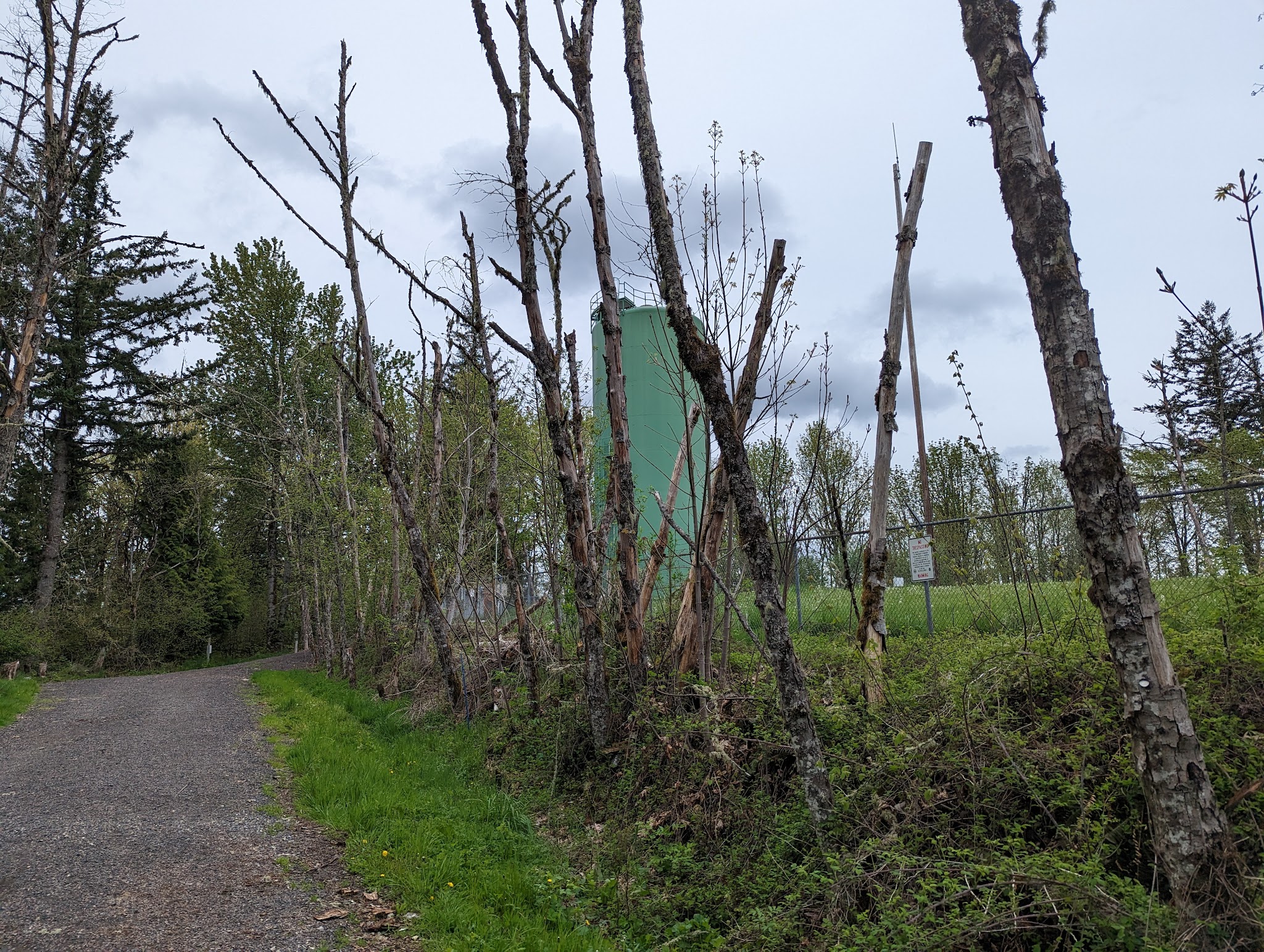 Gabbert Butte Natural Crup Campground