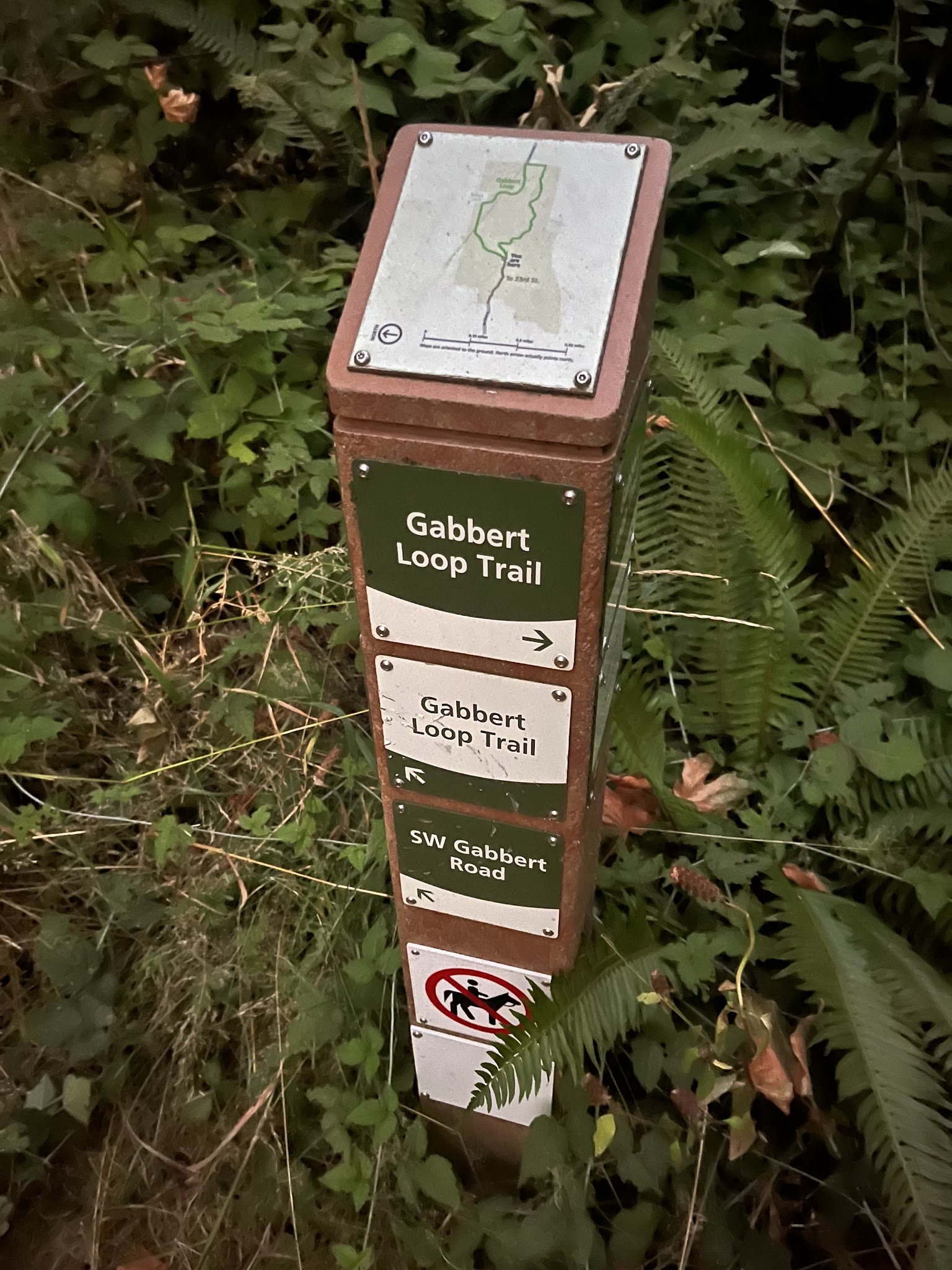 Gabbert Butte Natural Crup Campground