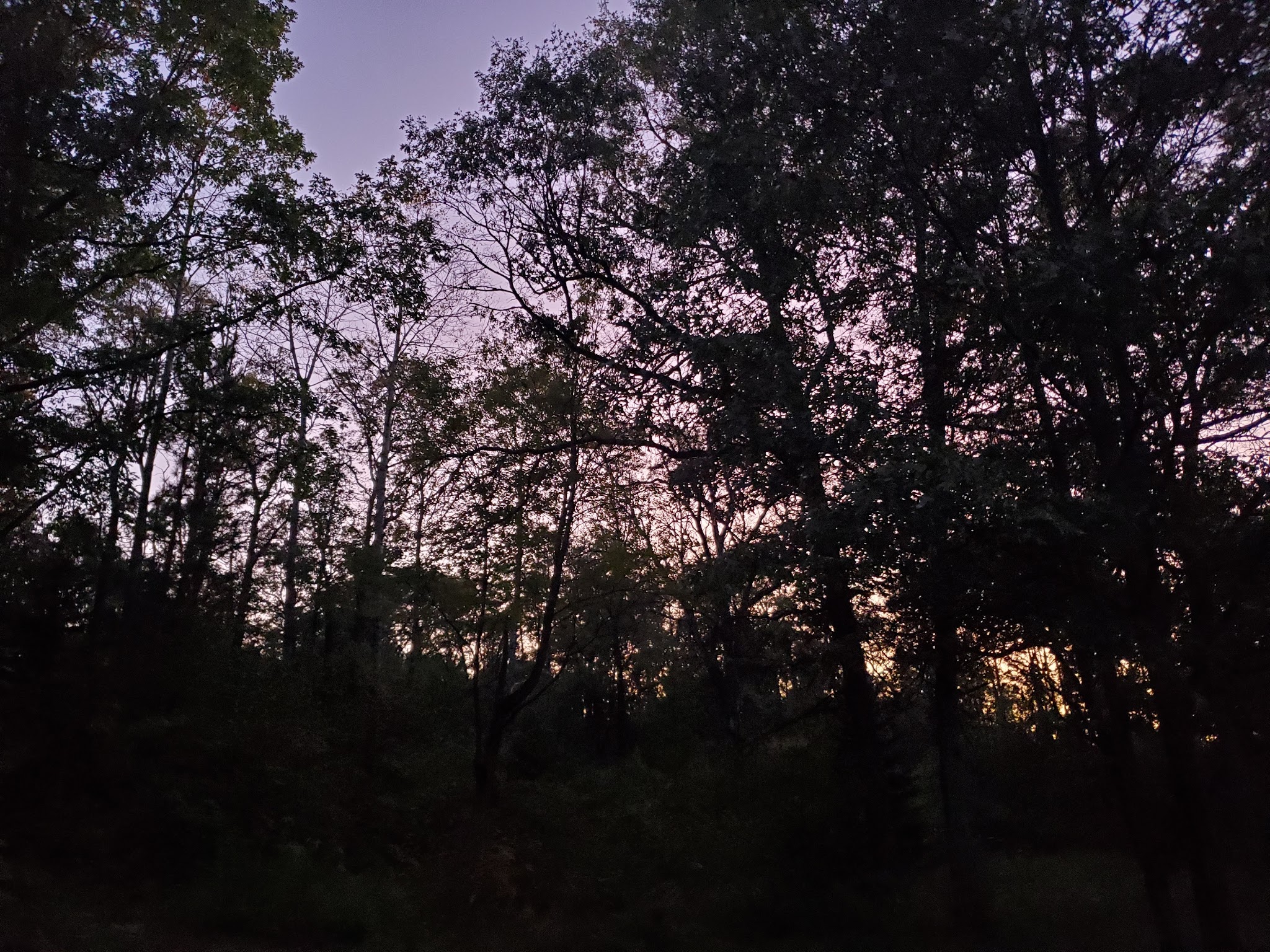 Gabions Campground And Day Use