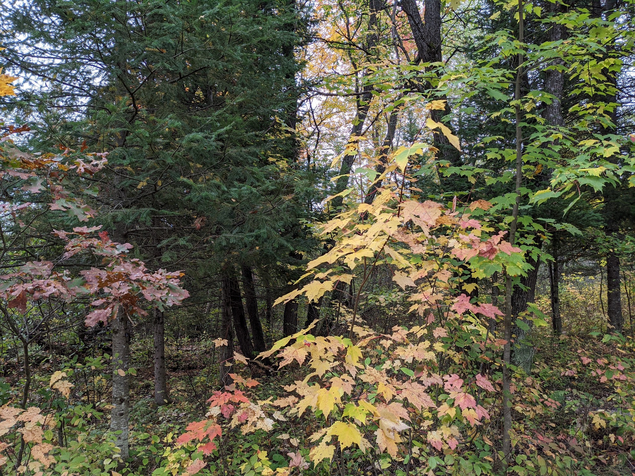 Gabions Campground And Day Use
