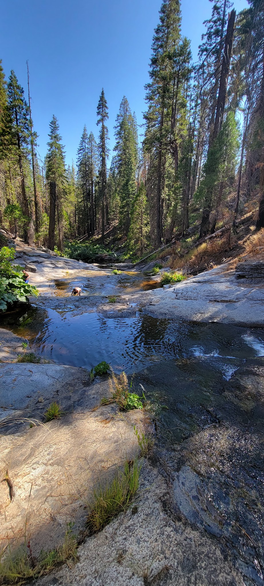 Gaggs Camp Campground