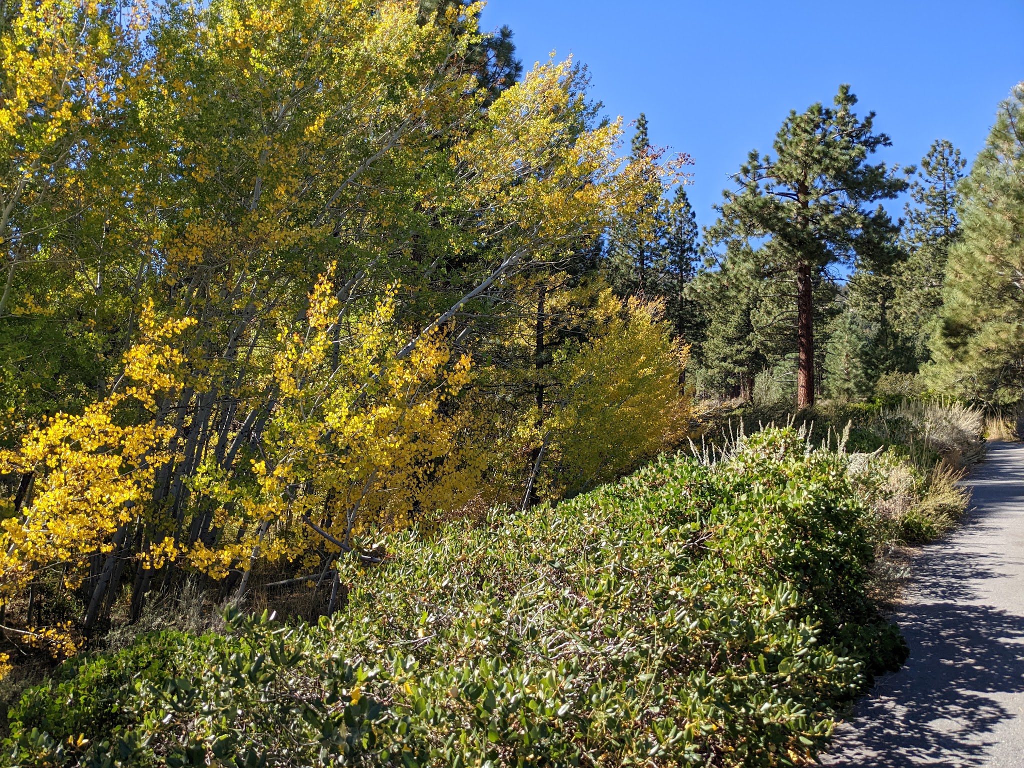 Galena Creek Visitor Center