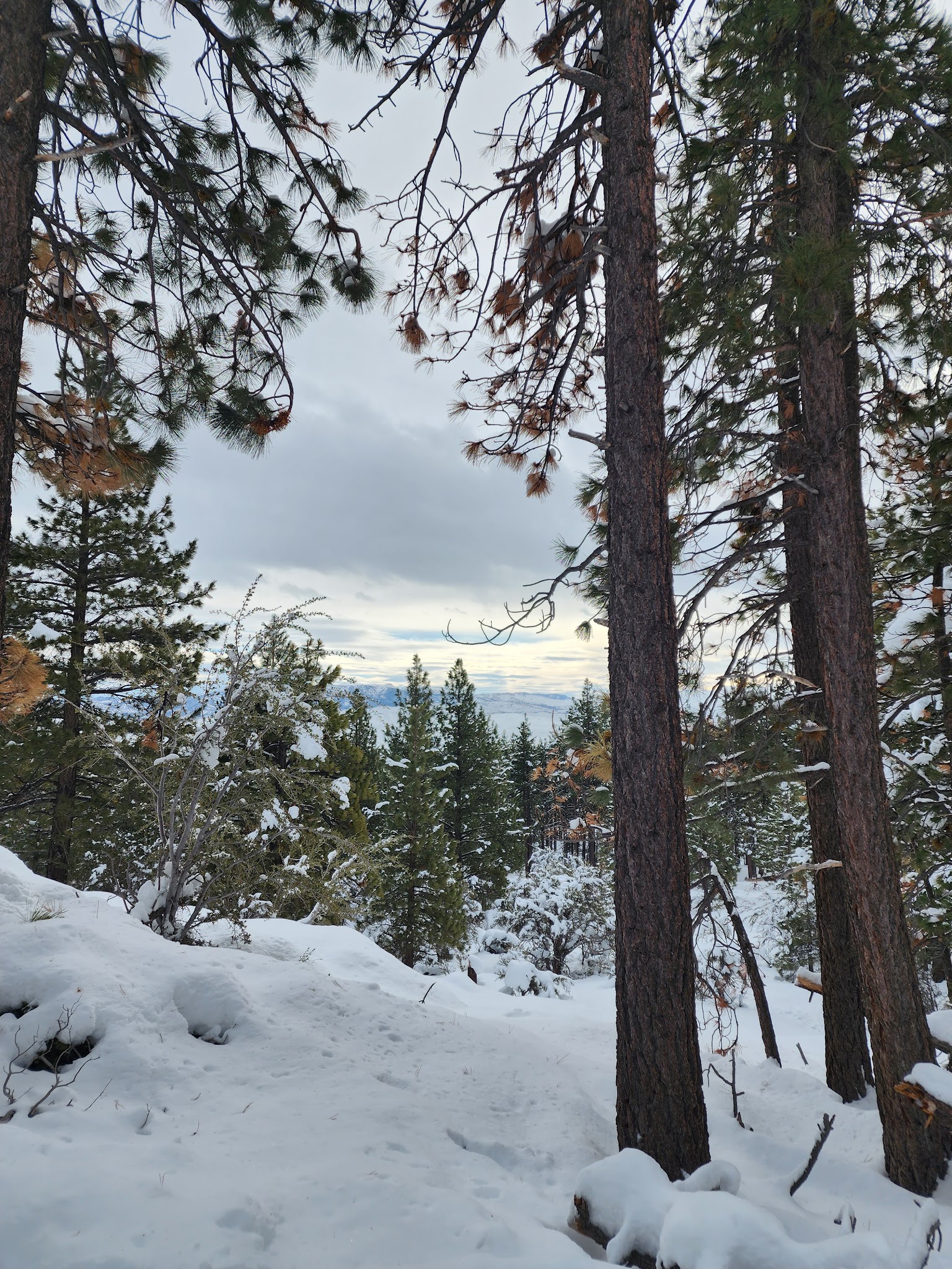 Galena Creek Visitor Center