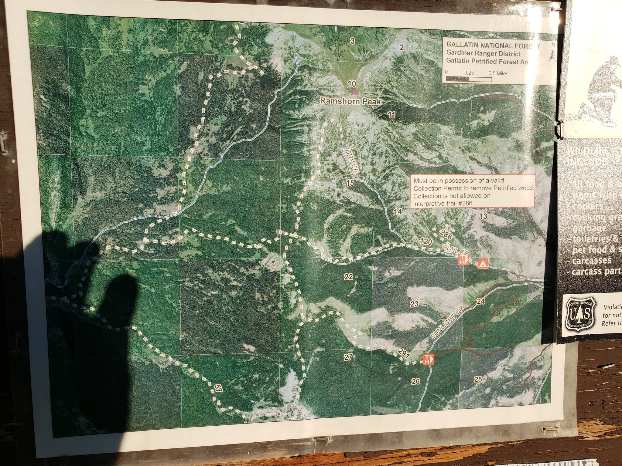 Tom Miner Campground