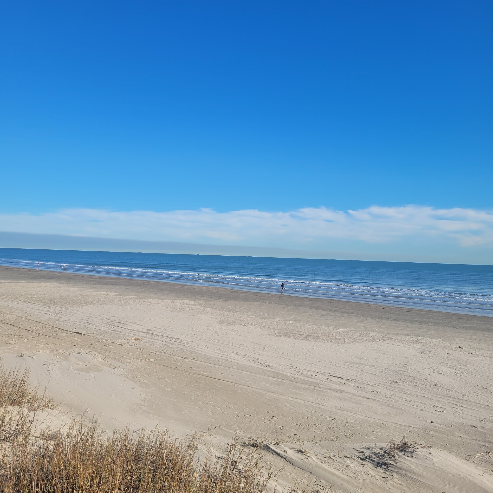 Galveston Island State Park