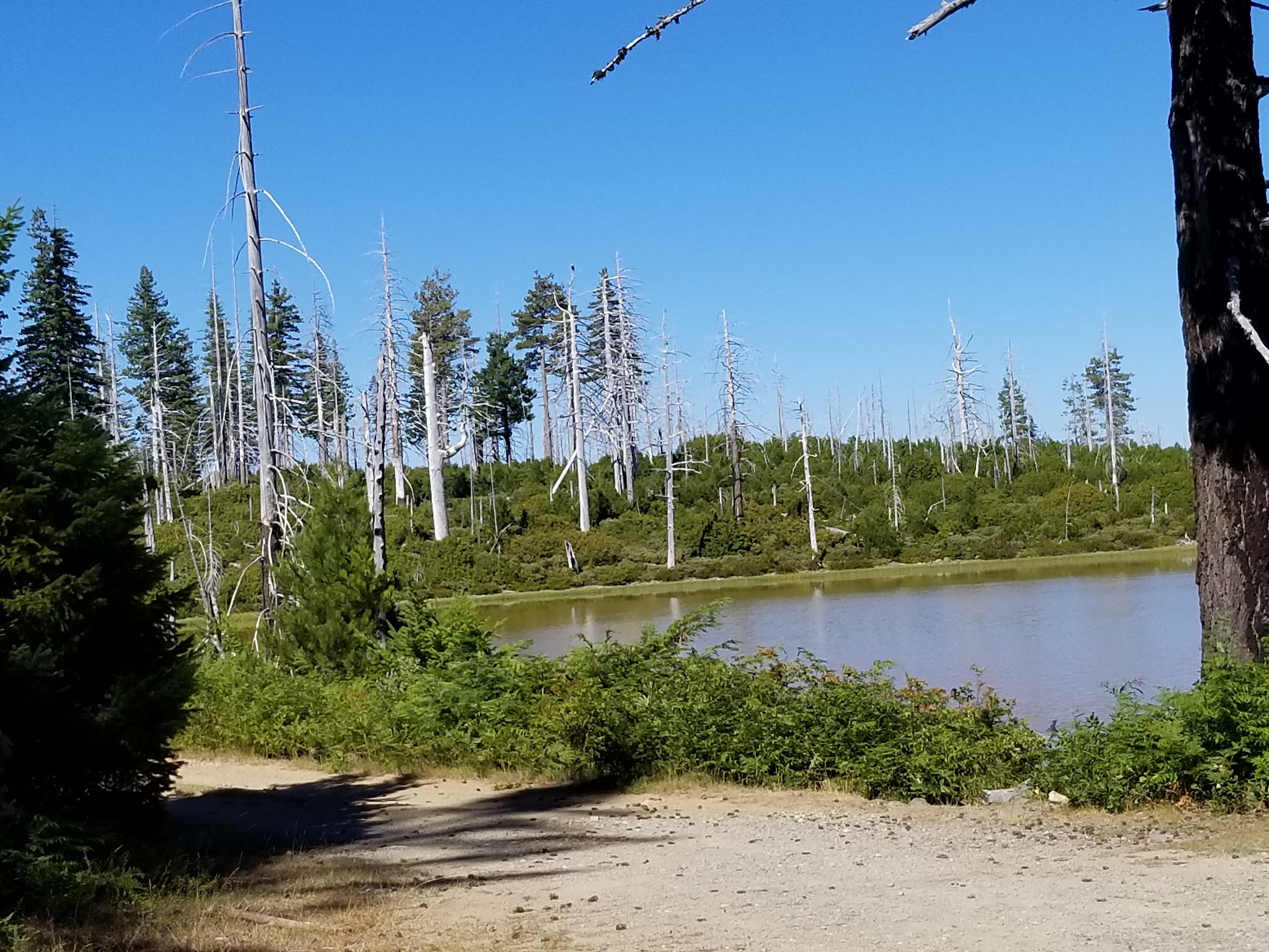 Game Lake Dispersed Camping