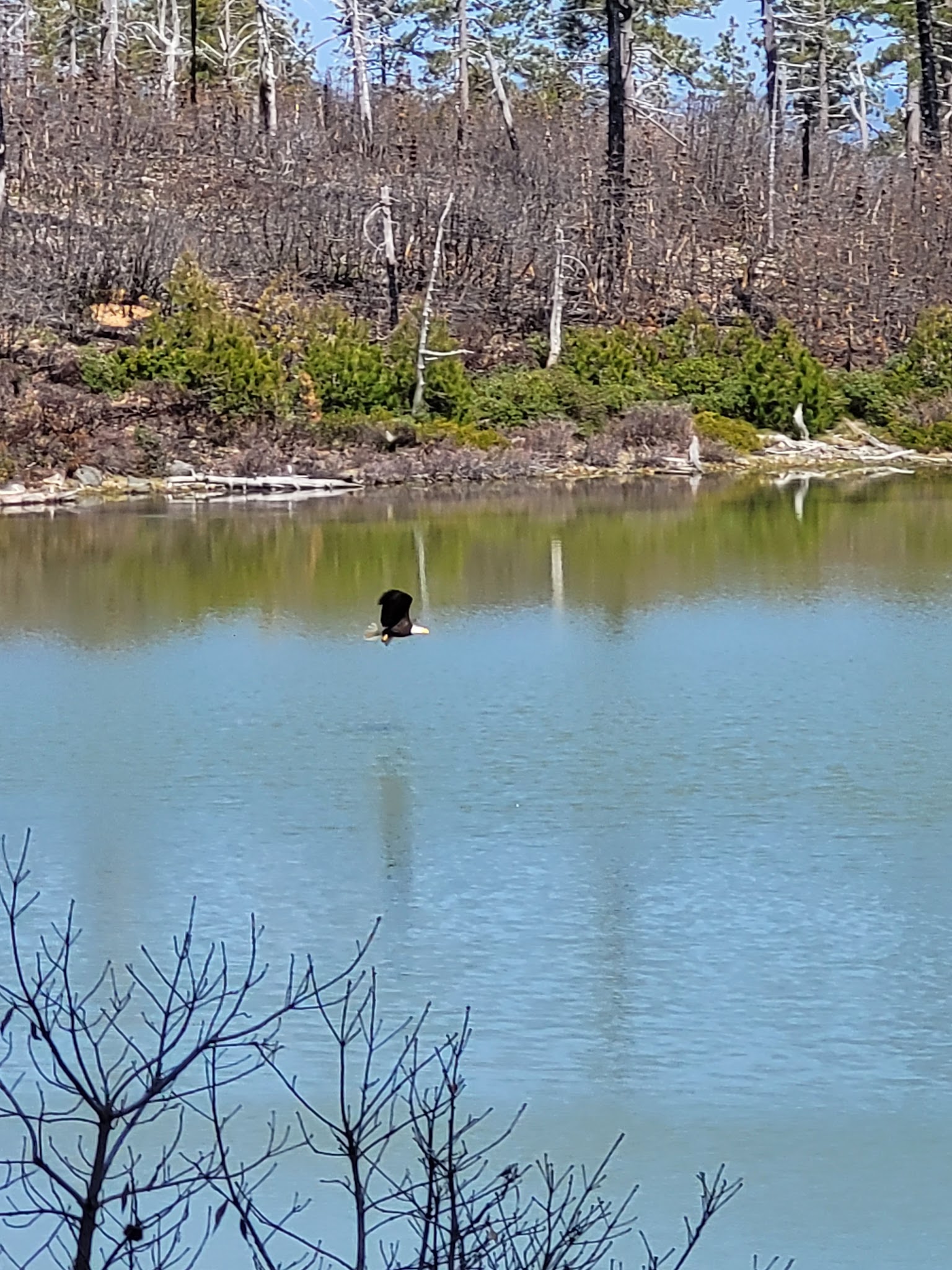 Game Lake Dispersed Camping