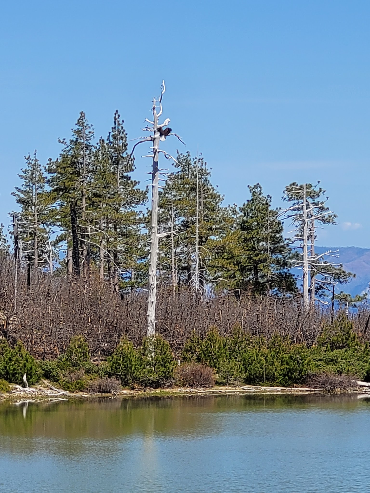 Game Lake Dispersed Camping