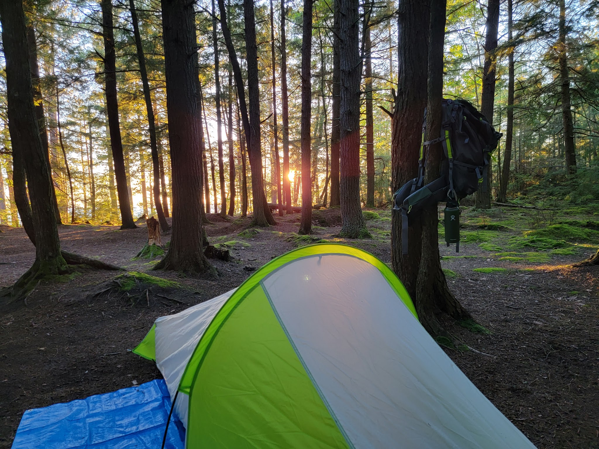 Gamefence Campsite On Grand Island