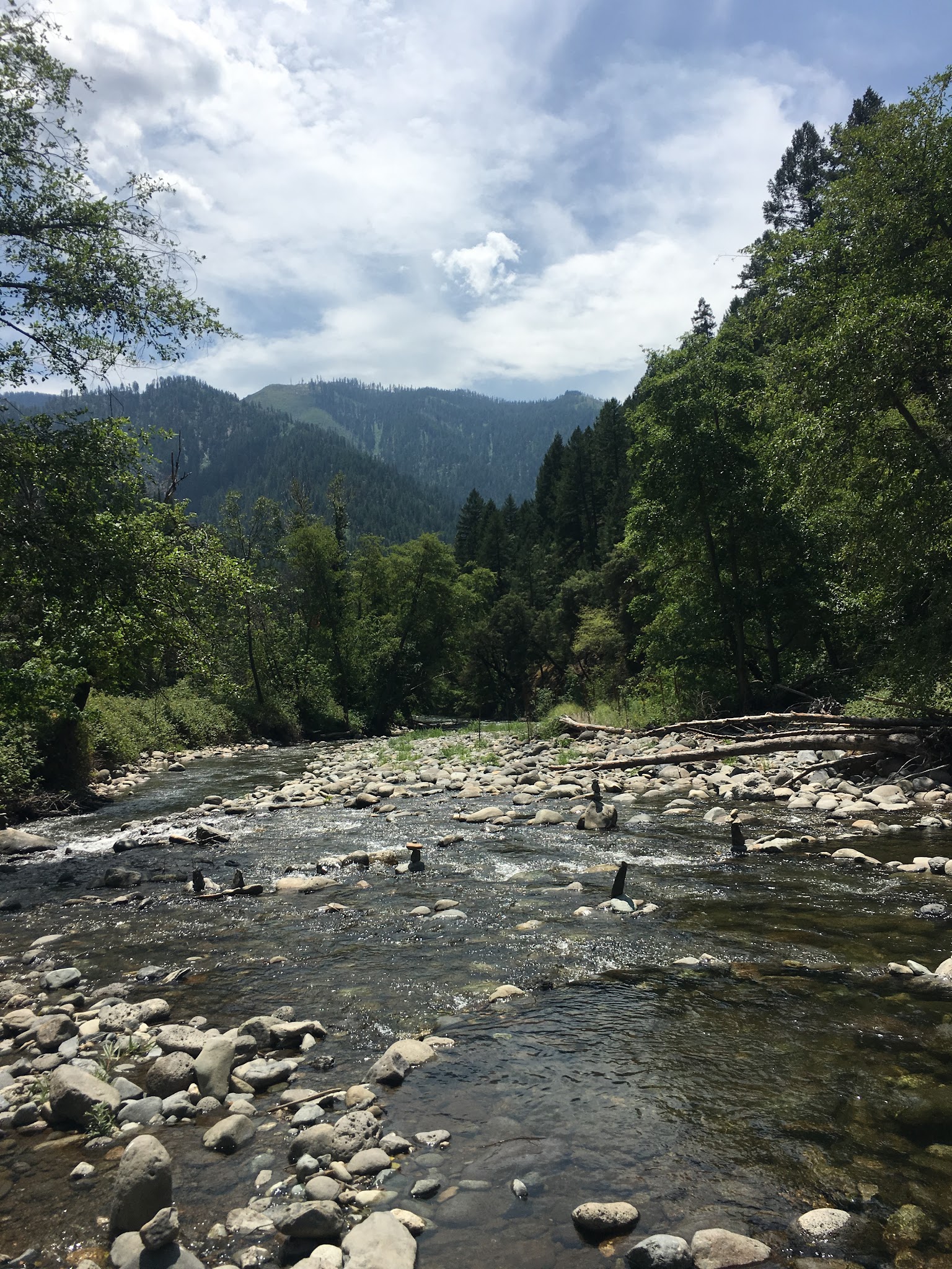 Gansner Bar Campground (Ca)